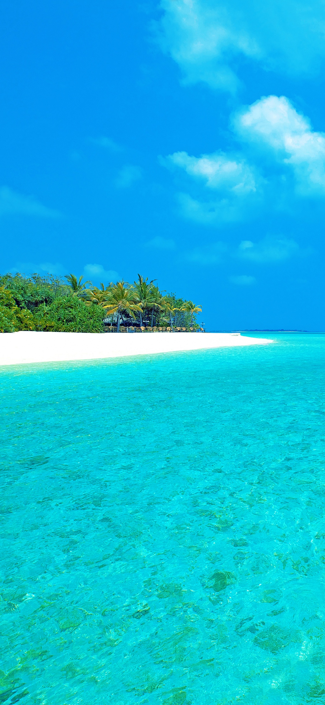 Green Trees on Island Under Blue Sky During Daytime. Wallpaper in 1125x2436 Resolution