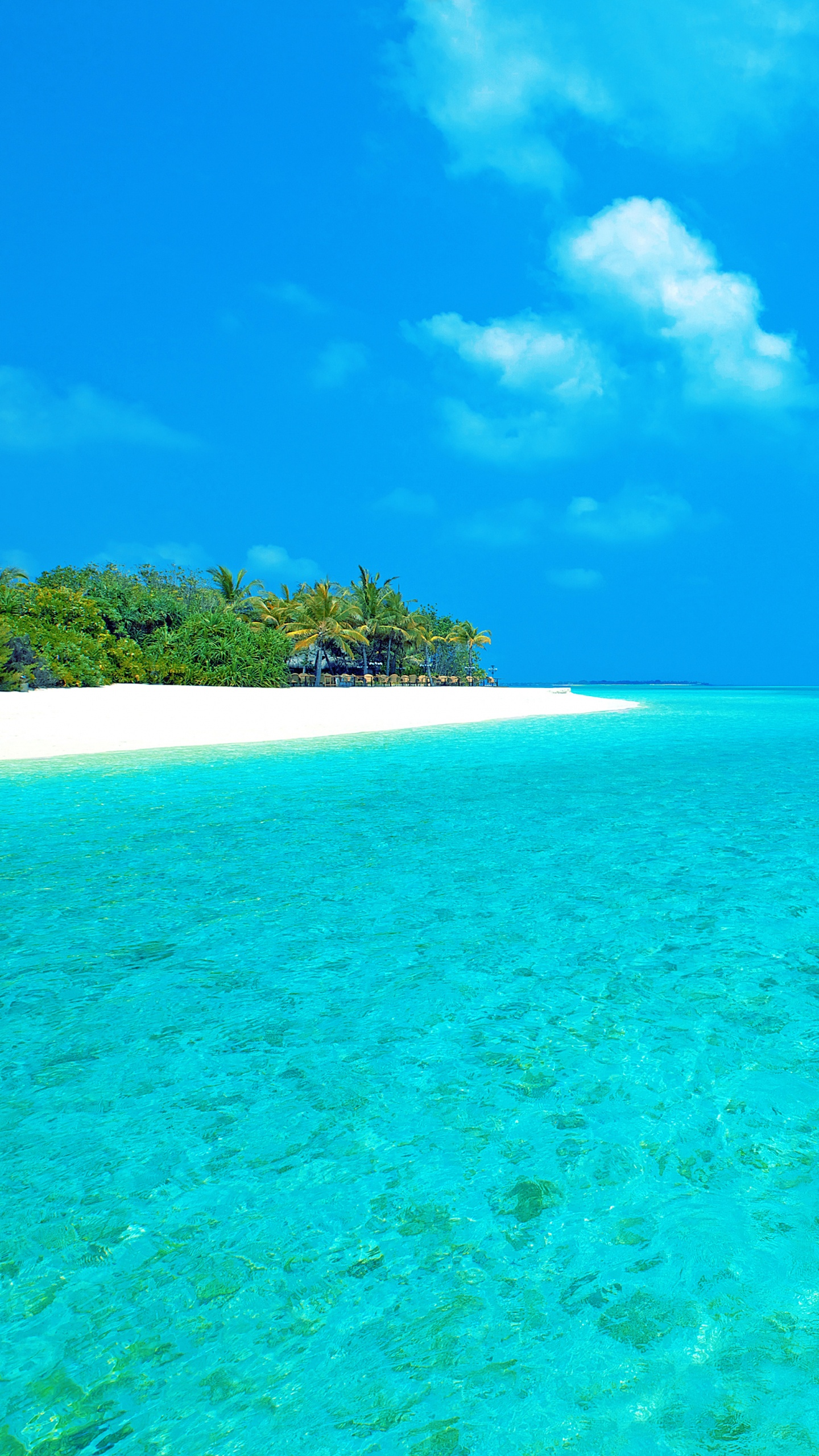 Green Trees on Island Under Blue Sky During Daytime. Wallpaper in 1440x2560 Resolution