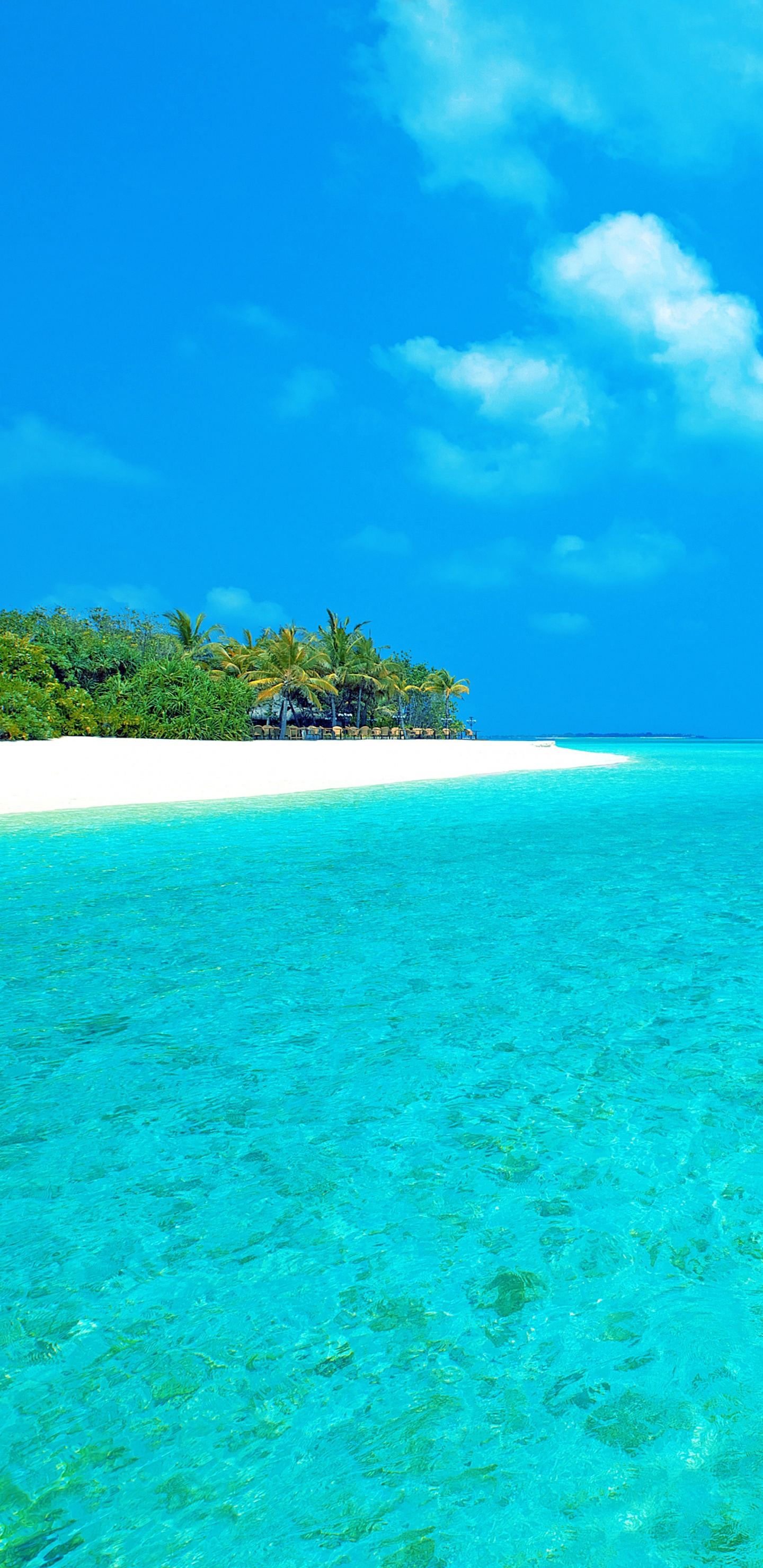 Green Trees on Island Under Blue Sky During Daytime. Wallpaper in 1440x2960 Resolution