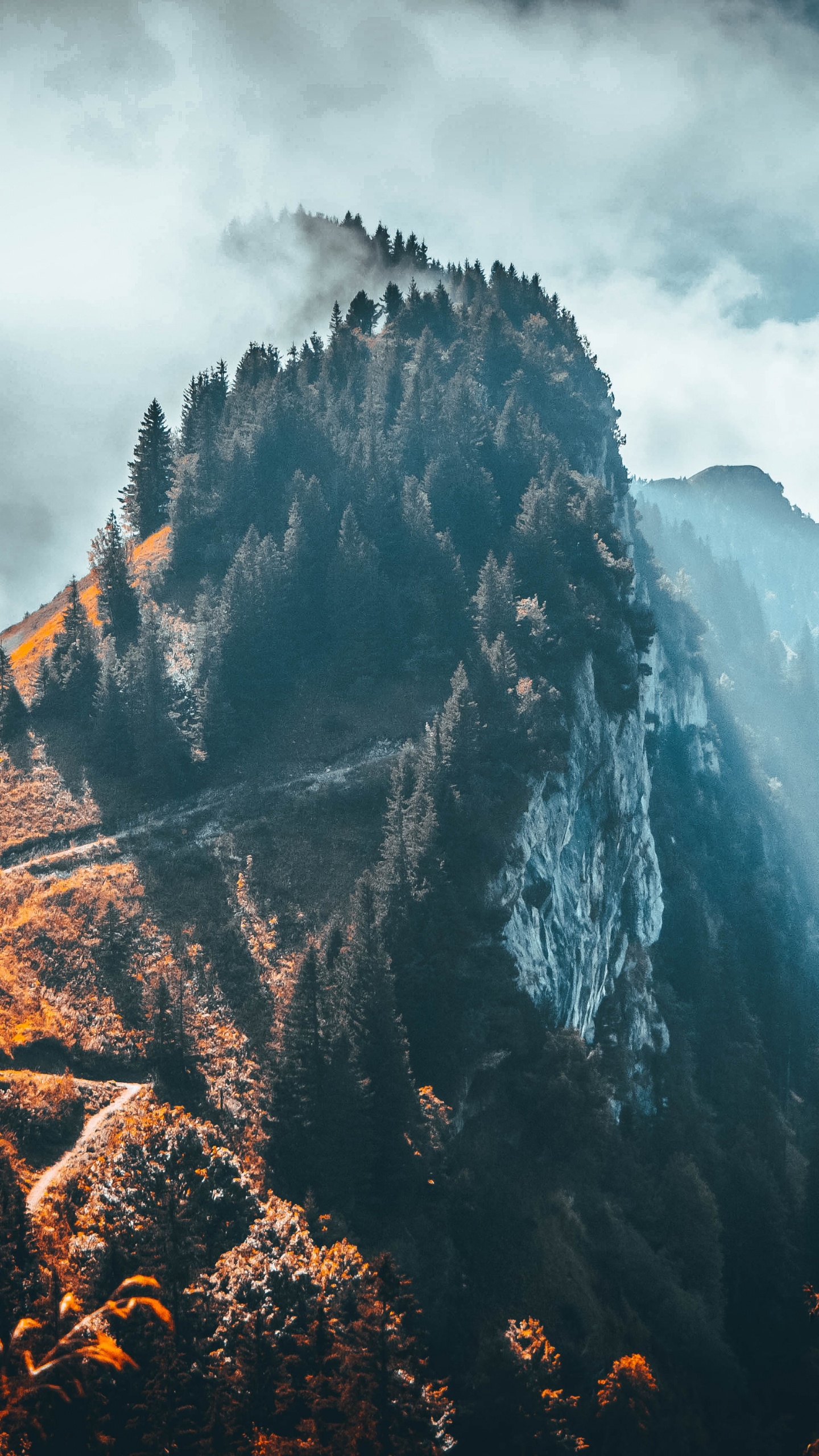 Montaña, Alpes, Naturaleza, Desierto, Paisaje Natural. Wallpaper in 1440x2560 Resolution