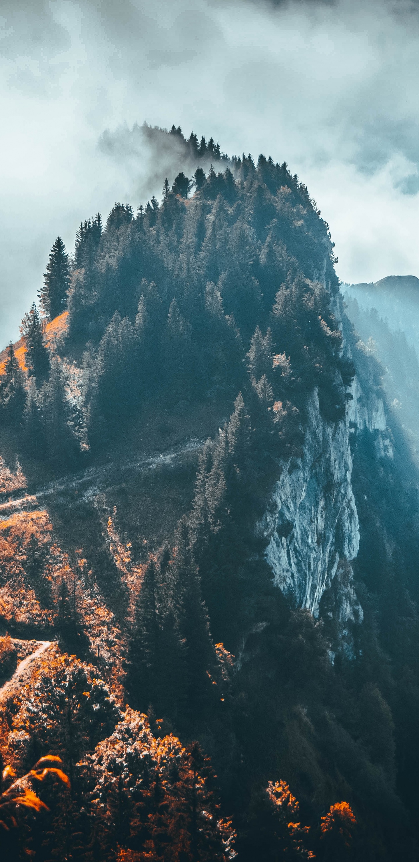 Montaña, Alpes, Naturaleza, Desierto, Paisaje Natural. Wallpaper in 1440x2960 Resolution