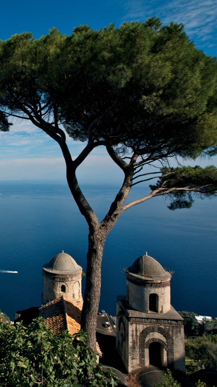 Grüner Baum in Der Nähe Eines Gewässers Tagsüber Water. Wallpaper in 720x1280 Resolution