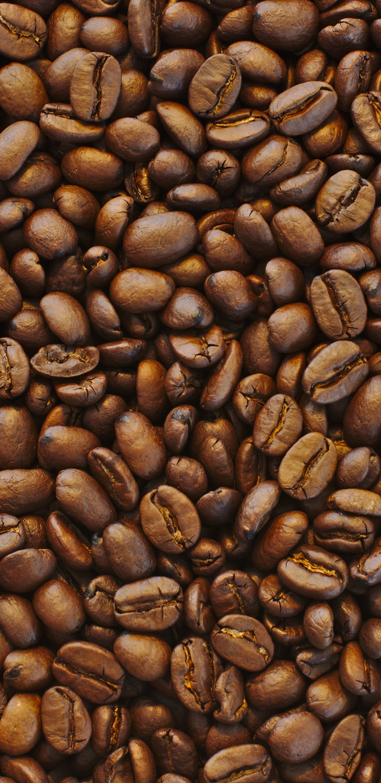 Braune Kaffeebohnen Auf Schwarzer Oberfläche. Wallpaper in 1440x2960 Resolution