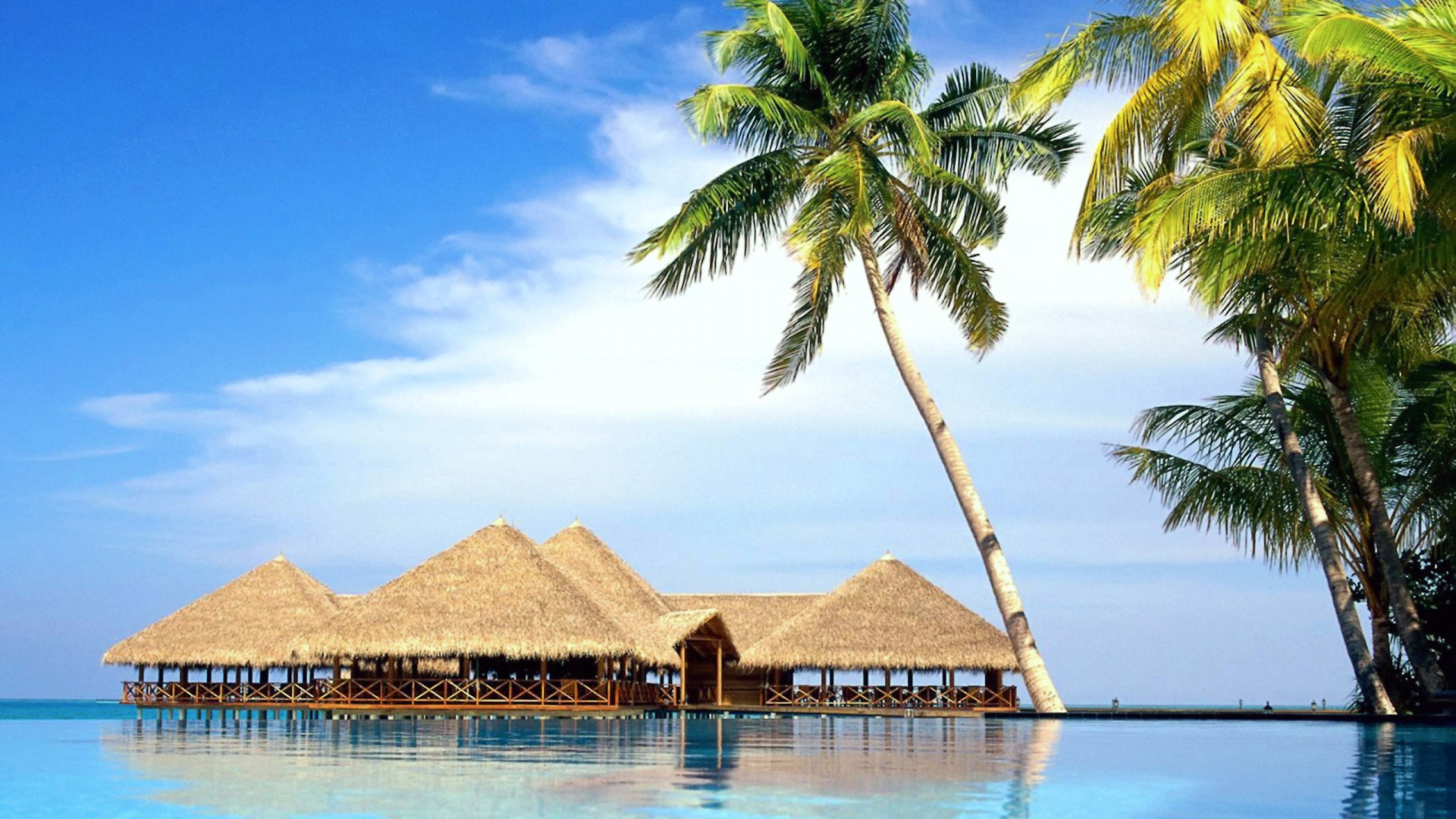 Casa de Playa de Madera Marrón Cerca de la Palmera Durante el Día. Wallpaper in 1920x1080 Resolution