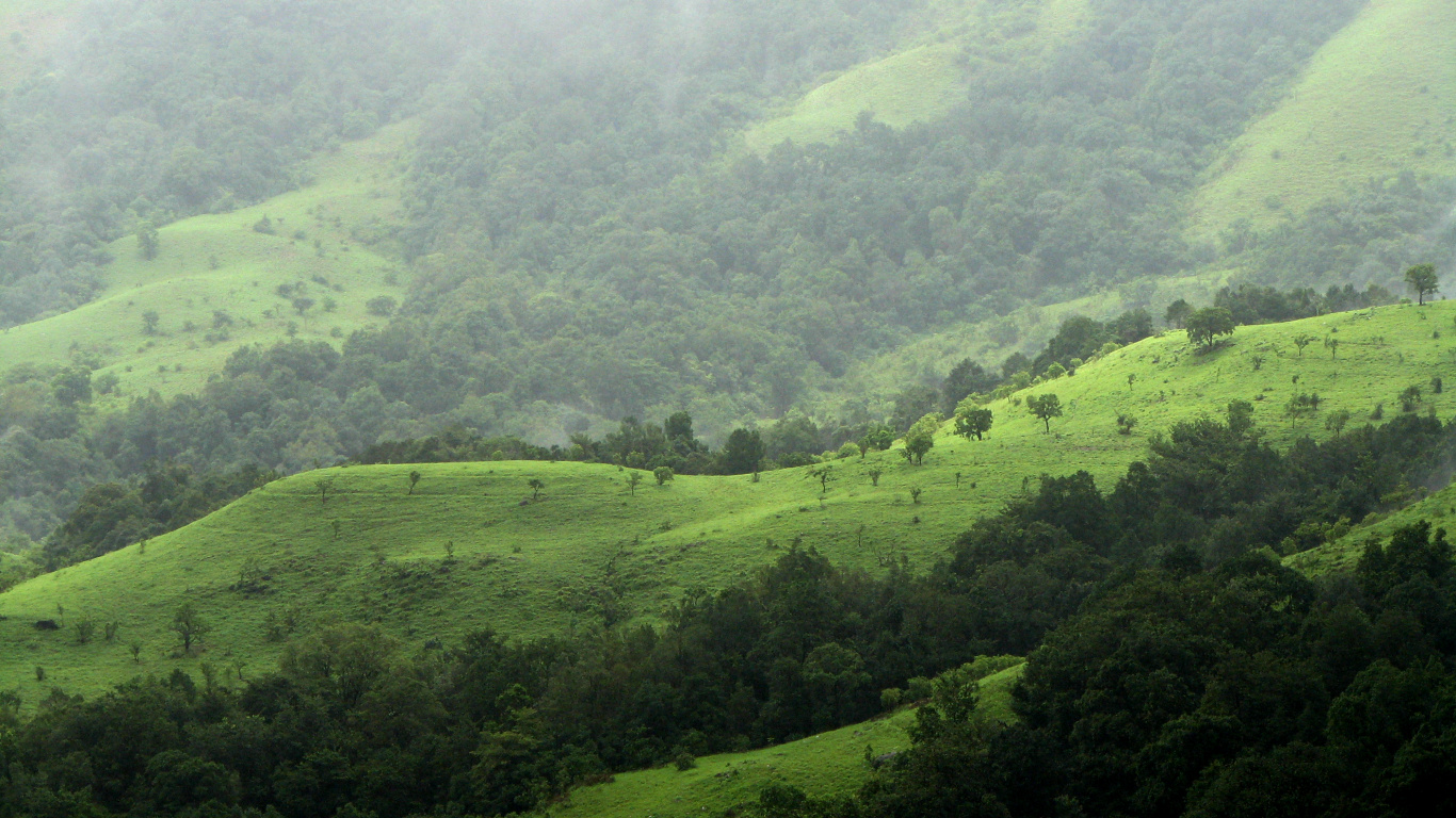 Green Grass Field and Mountain. Wallpaper in 1366x768 Resolution