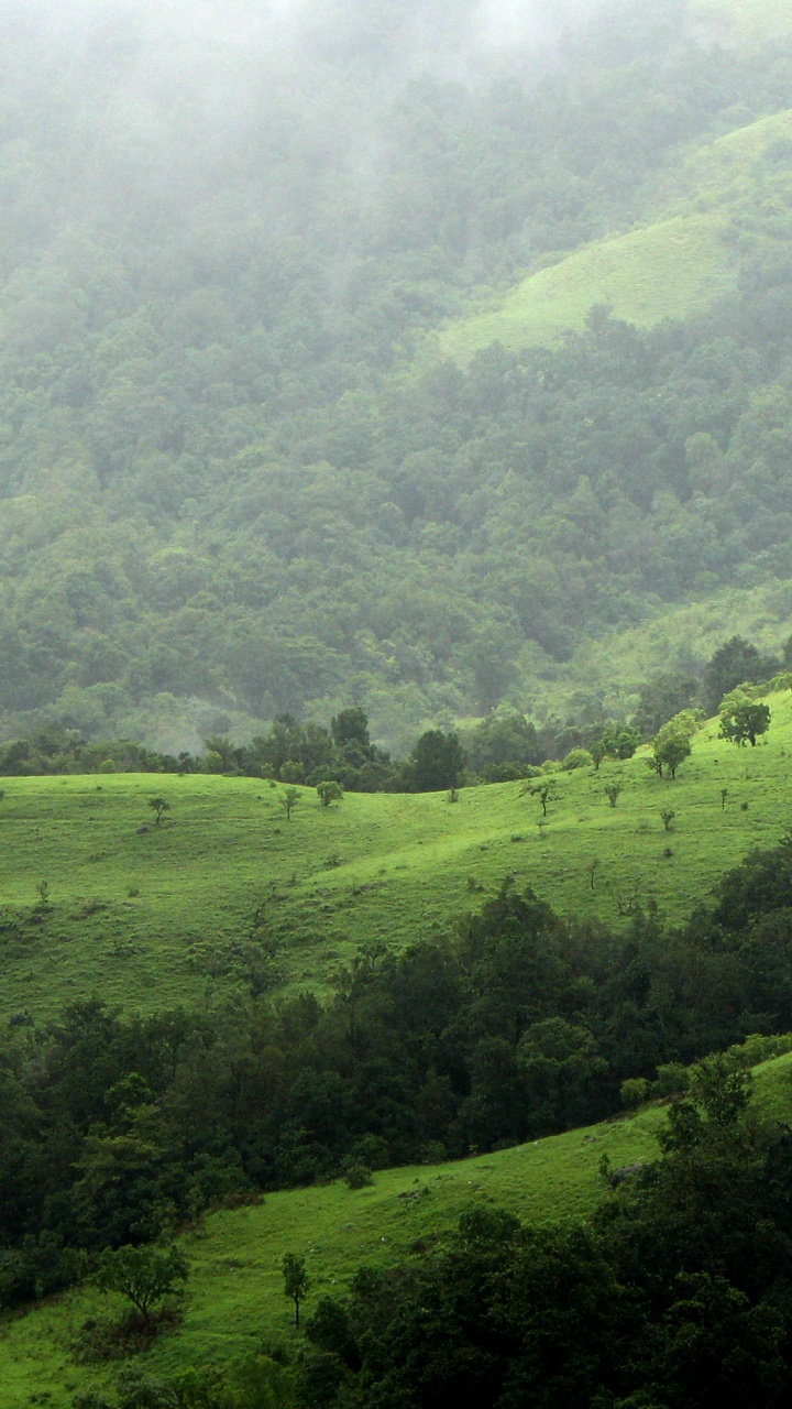 Green Grass Field and Mountain. Wallpaper in 720x1280 Resolution