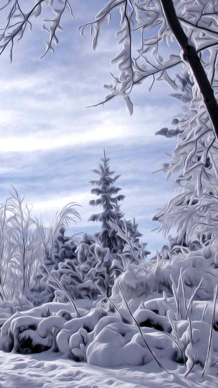 Graustufenfoto Eines Flusses Mit Felsen. Wallpaper in 720x1280 Resolution