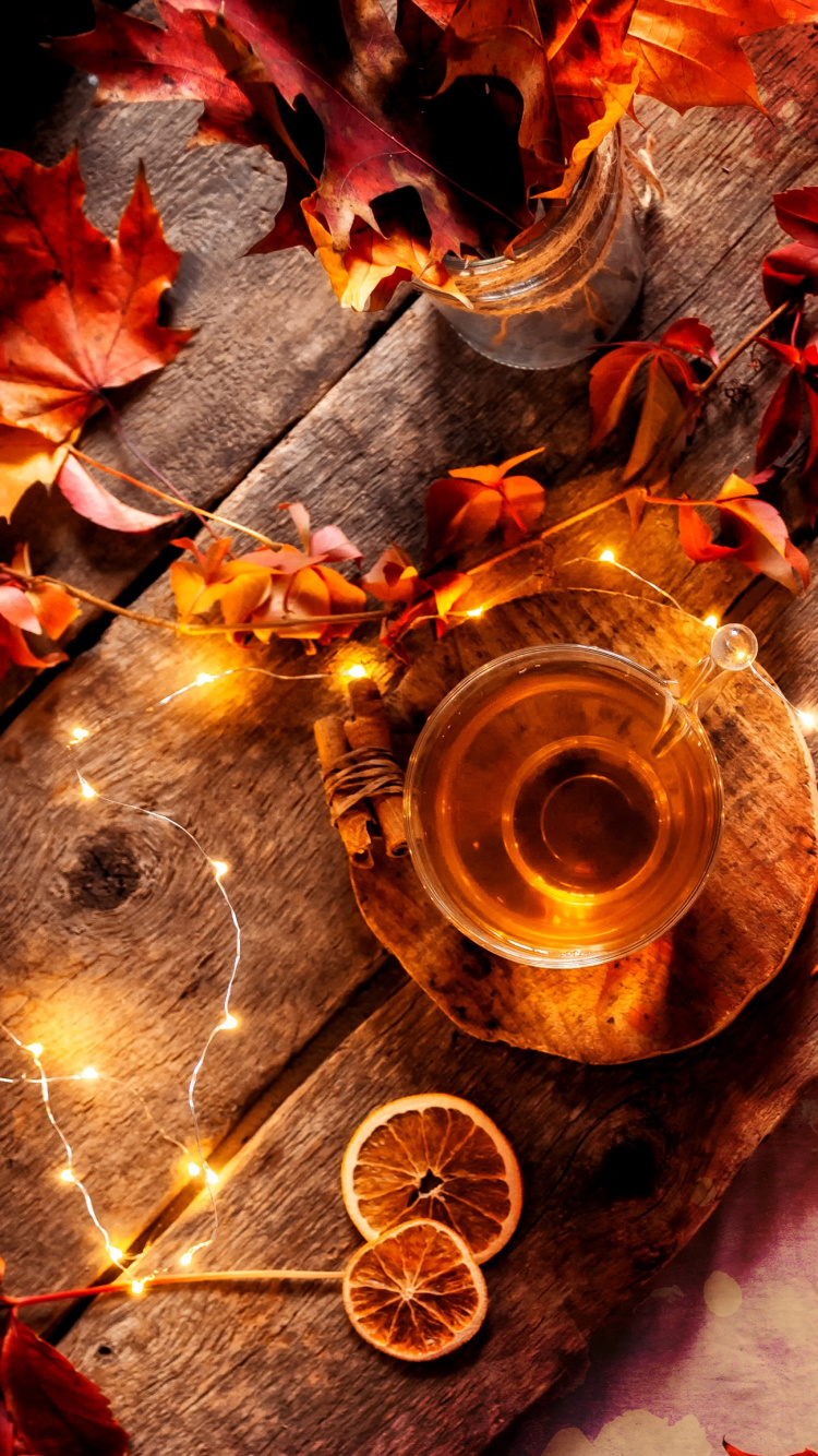 Orange, Amber, Citrus, Mandarin Orange, Fruit. Wallpaper in 750x1334 Resolution