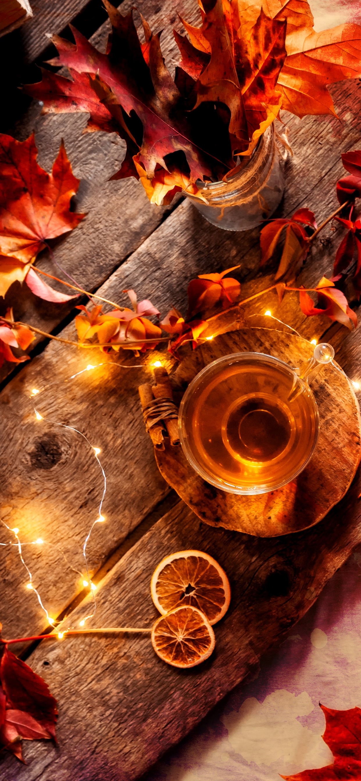 Orange, Ambre, Agrume, le Mandarin Orange, Fruits. Wallpaper in 1242x2688 Resolution