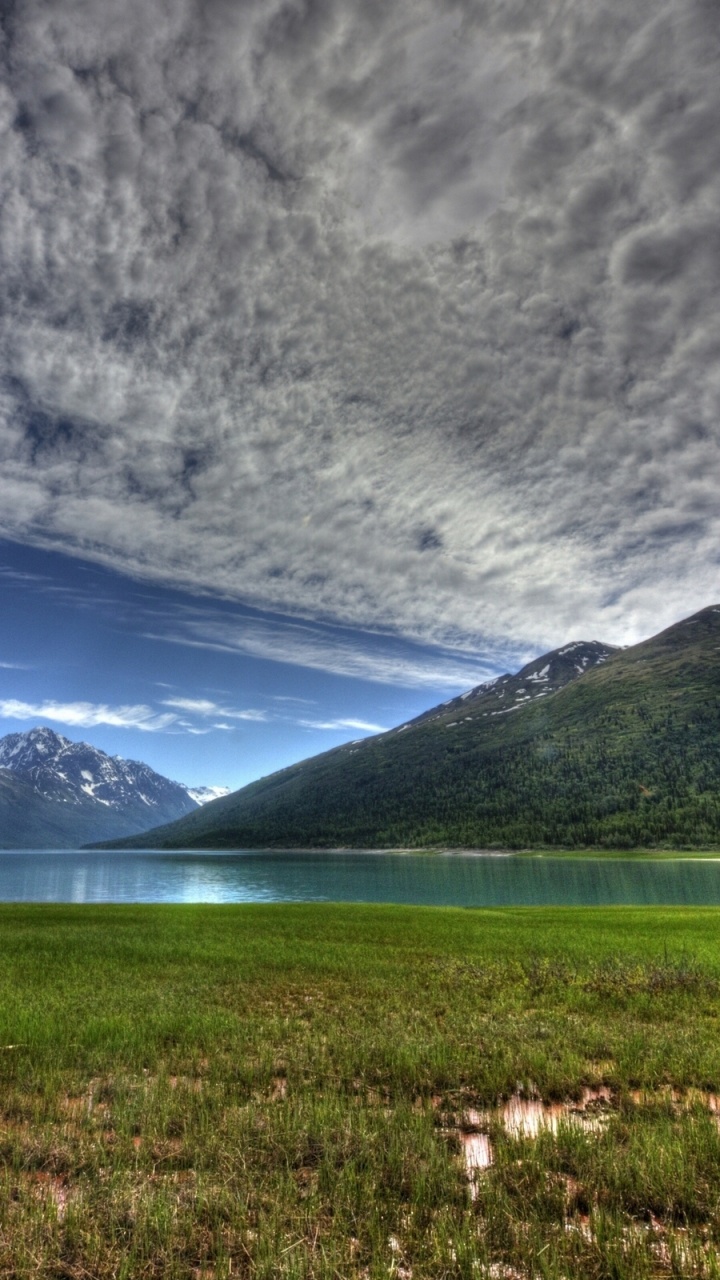 Green Grass Field Under Blue Sky. Wallpaper in 720x1280 Resolution
