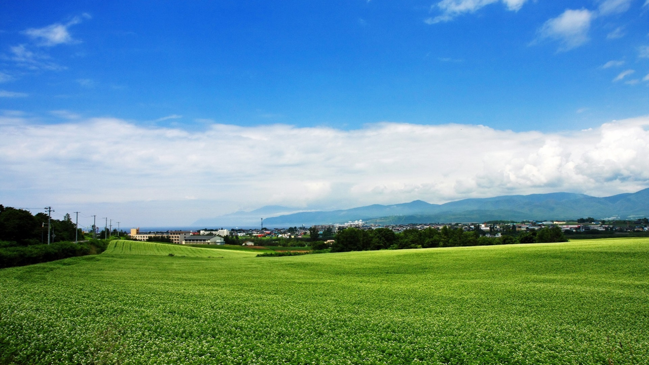Green Grass Field Under Blue Sky During Daytime. Wallpaper in 1280x720 Resolution