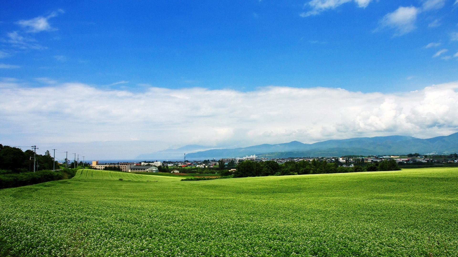 天空, 地平线, 草地上, 农场, 北海道 壁纸 1920x1080 允许