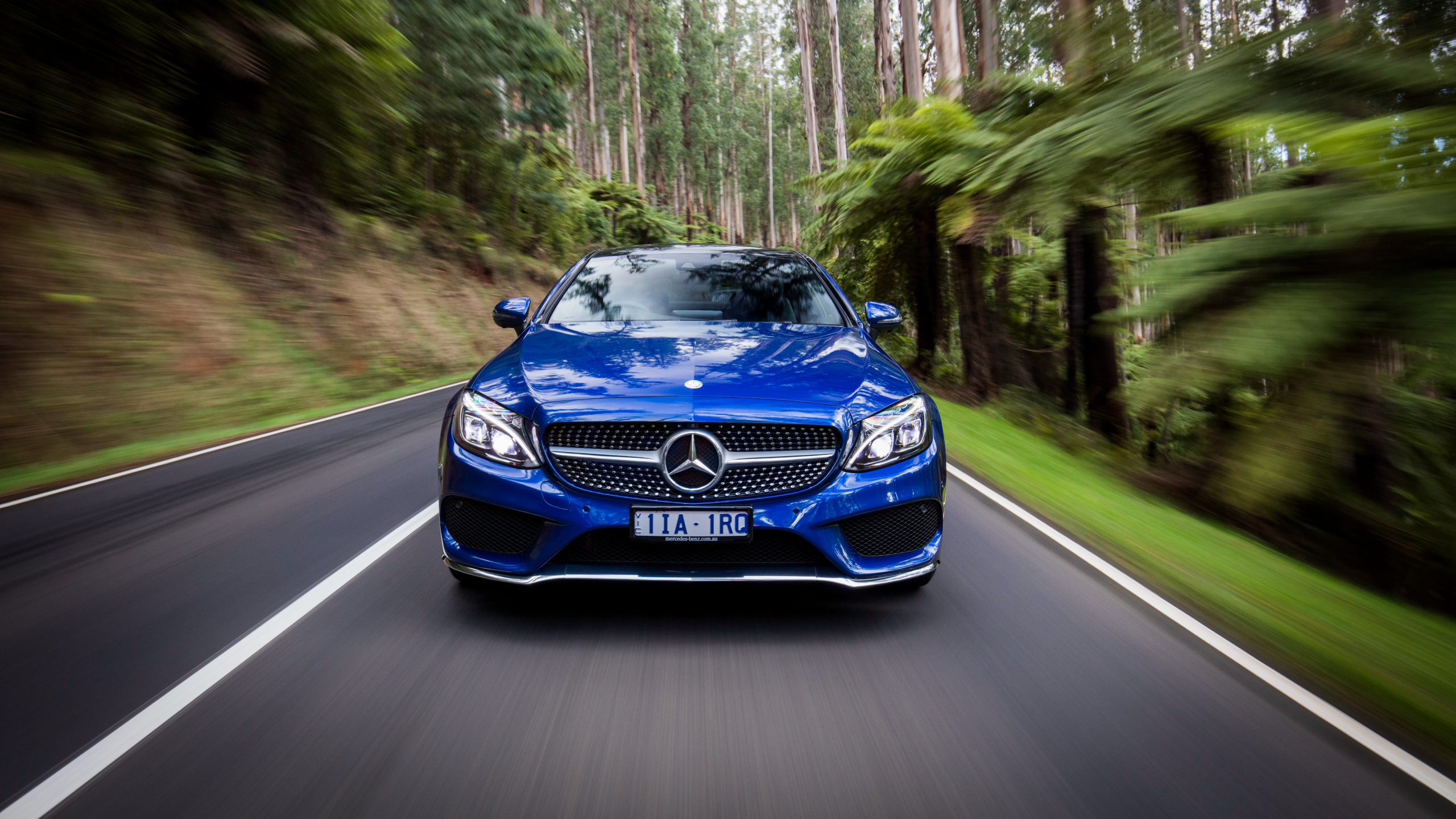Blue Bmw m 3 on Road Between Trees During Daytime. Wallpaper in 2560x1440 Resolution