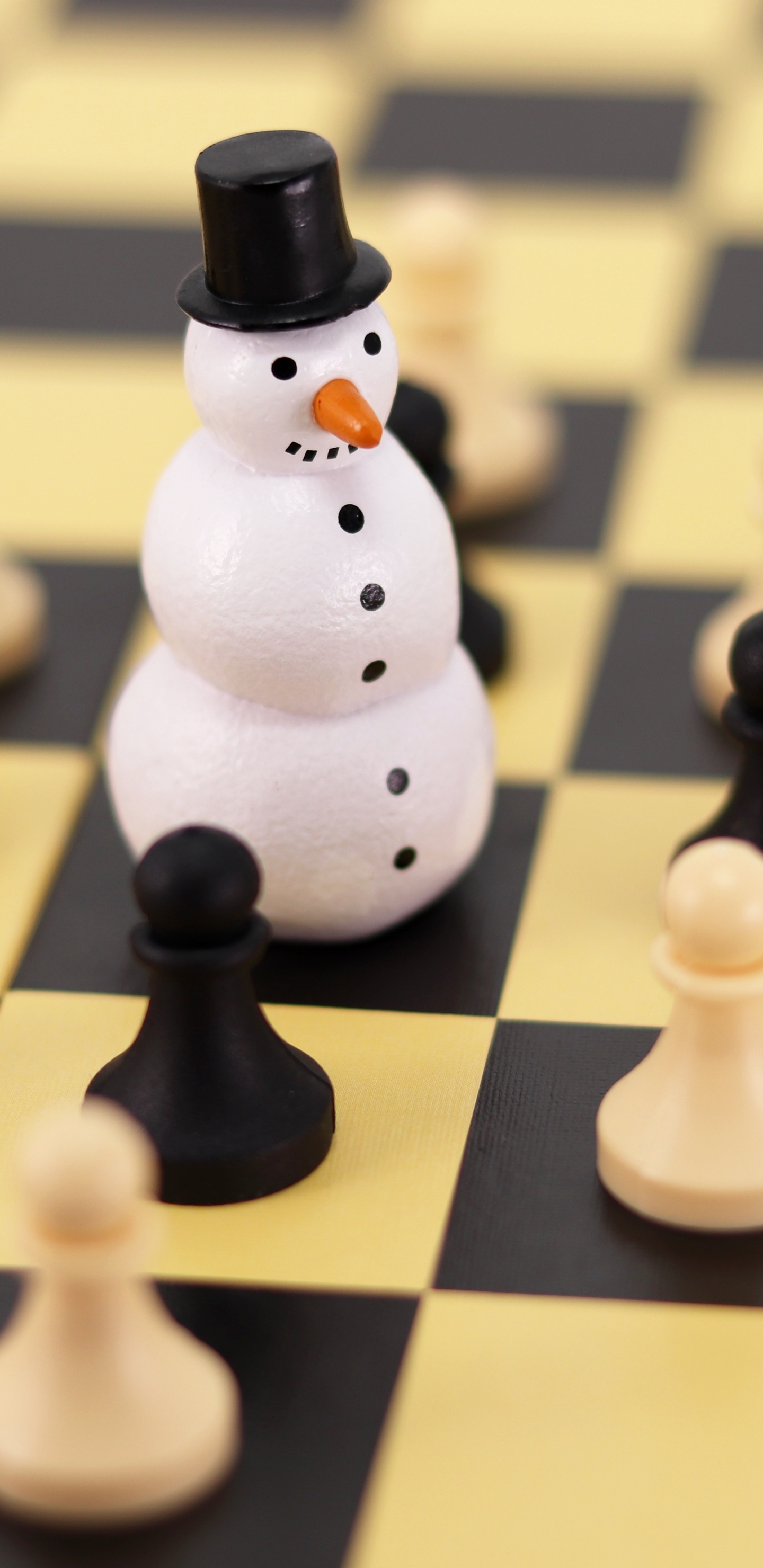 Chess, Chess Piece, Board Game, Pawn, King. Wallpaper in 1440x2960 Resolution