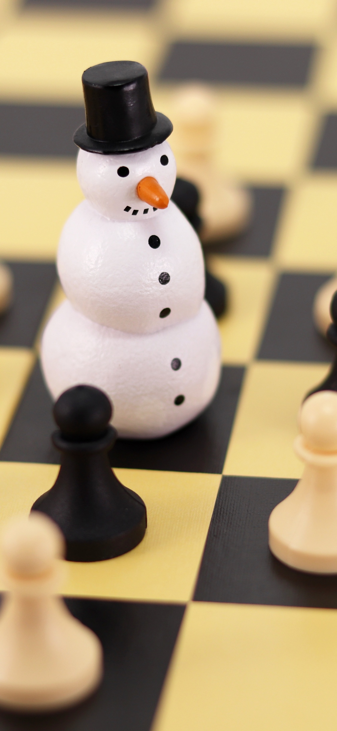 Checs, Pièce D'échecs, Jeu de Plateau, Pion, Roi. Wallpaper in 1125x2436 Resolution