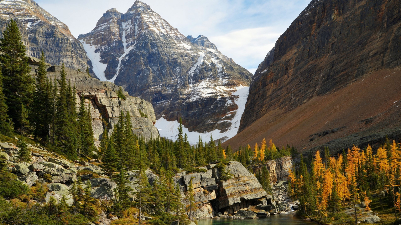 Green Pine Trees Near Lake and Mountain. Wallpaper in 1280x720 Resolution