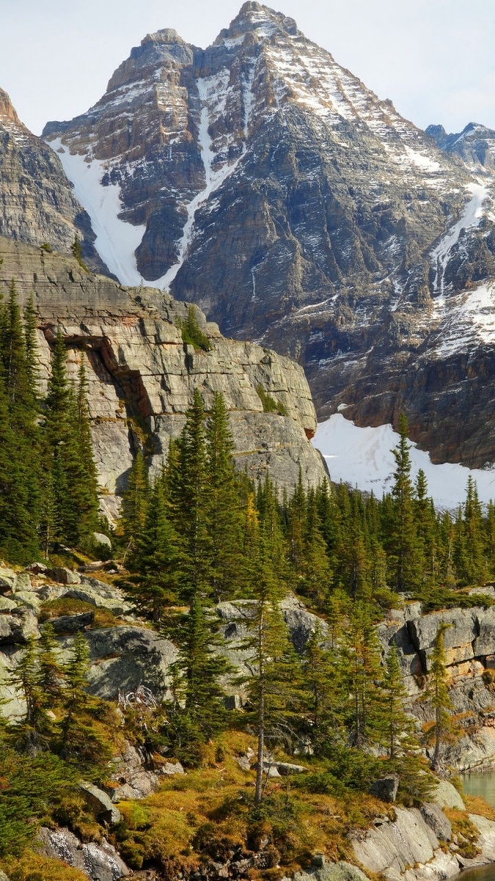 Green Pine Trees Near Lake and Mountain. Wallpaper in 720x1280 Resolution