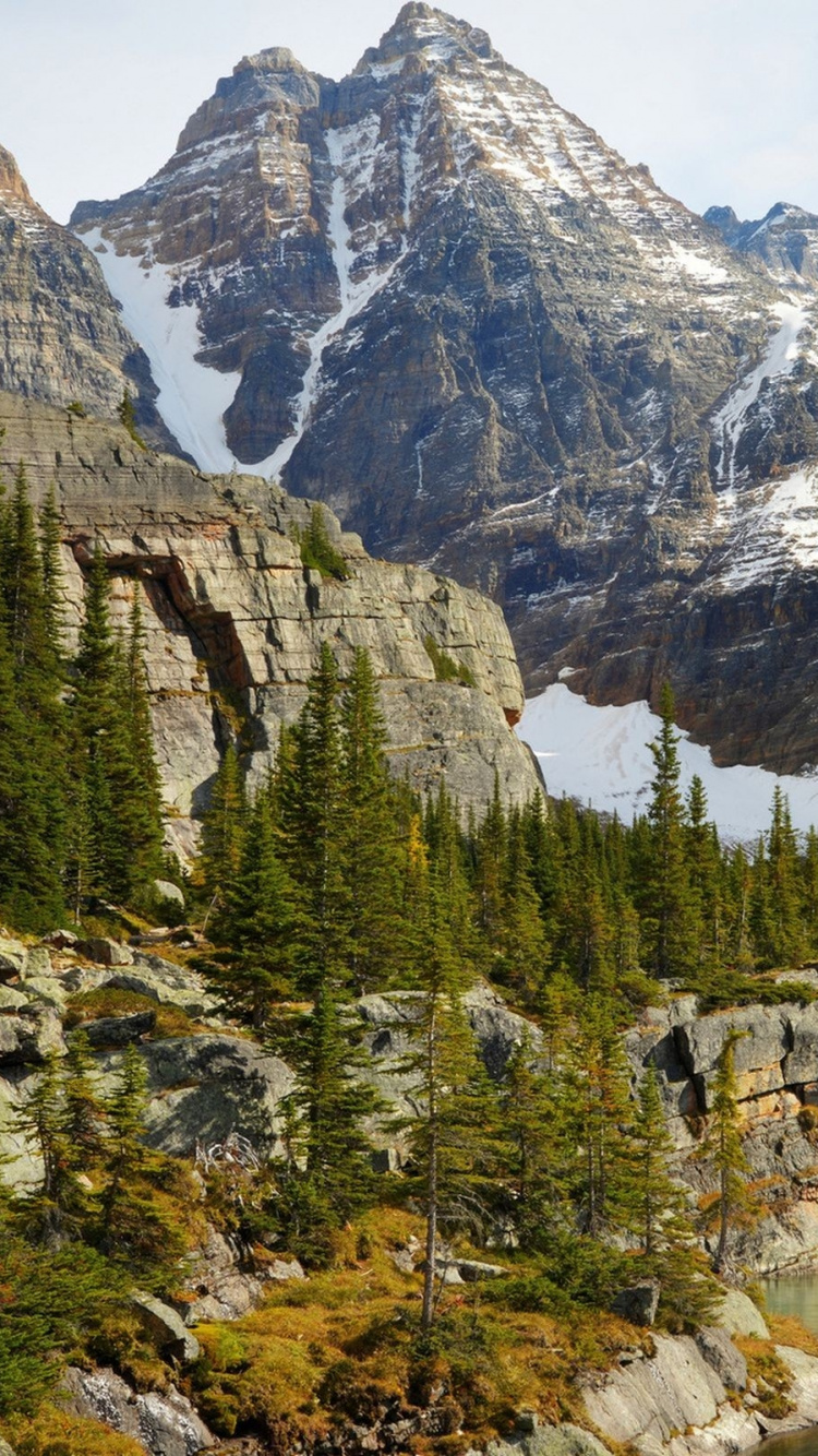 多山的地貌, 性质, 荒野, 塔恩, 自然保护区 壁纸 750x1334 允许