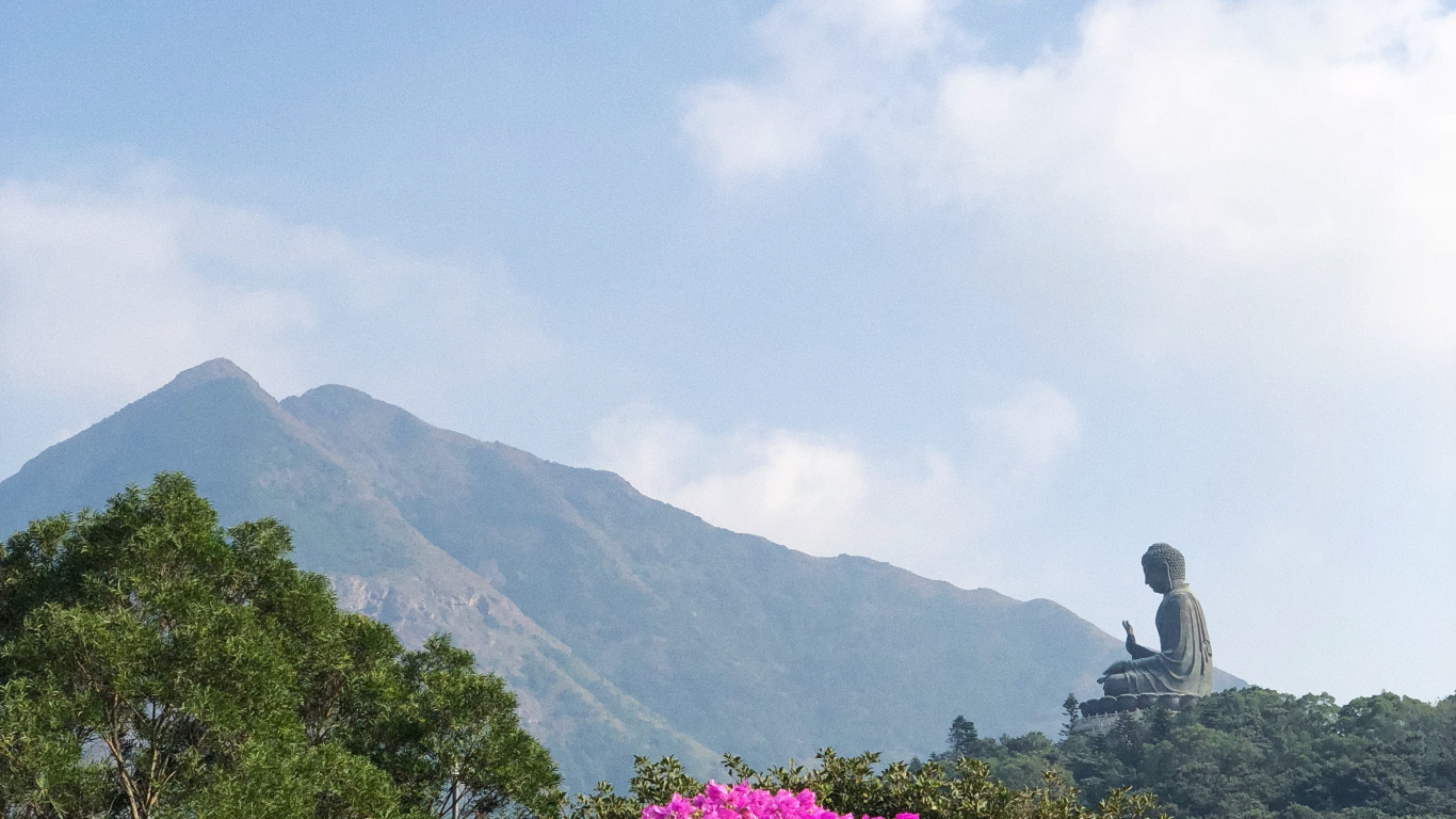 Vegetation, Mountainous Landforms, Cloud, Flower, Plant Community. Wallpaper in 1366x768 Resolution