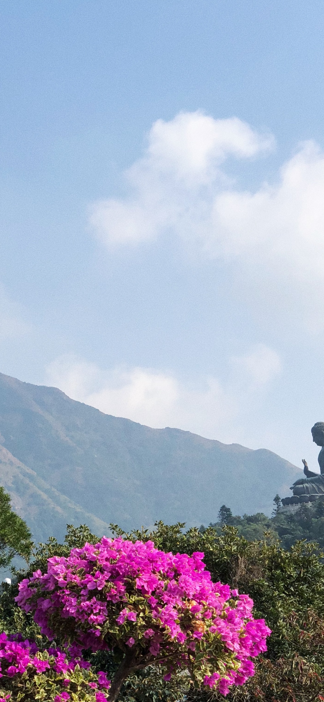 植被, 多山的地貌, 植物群, 高地 壁纸 1125x2436 允许