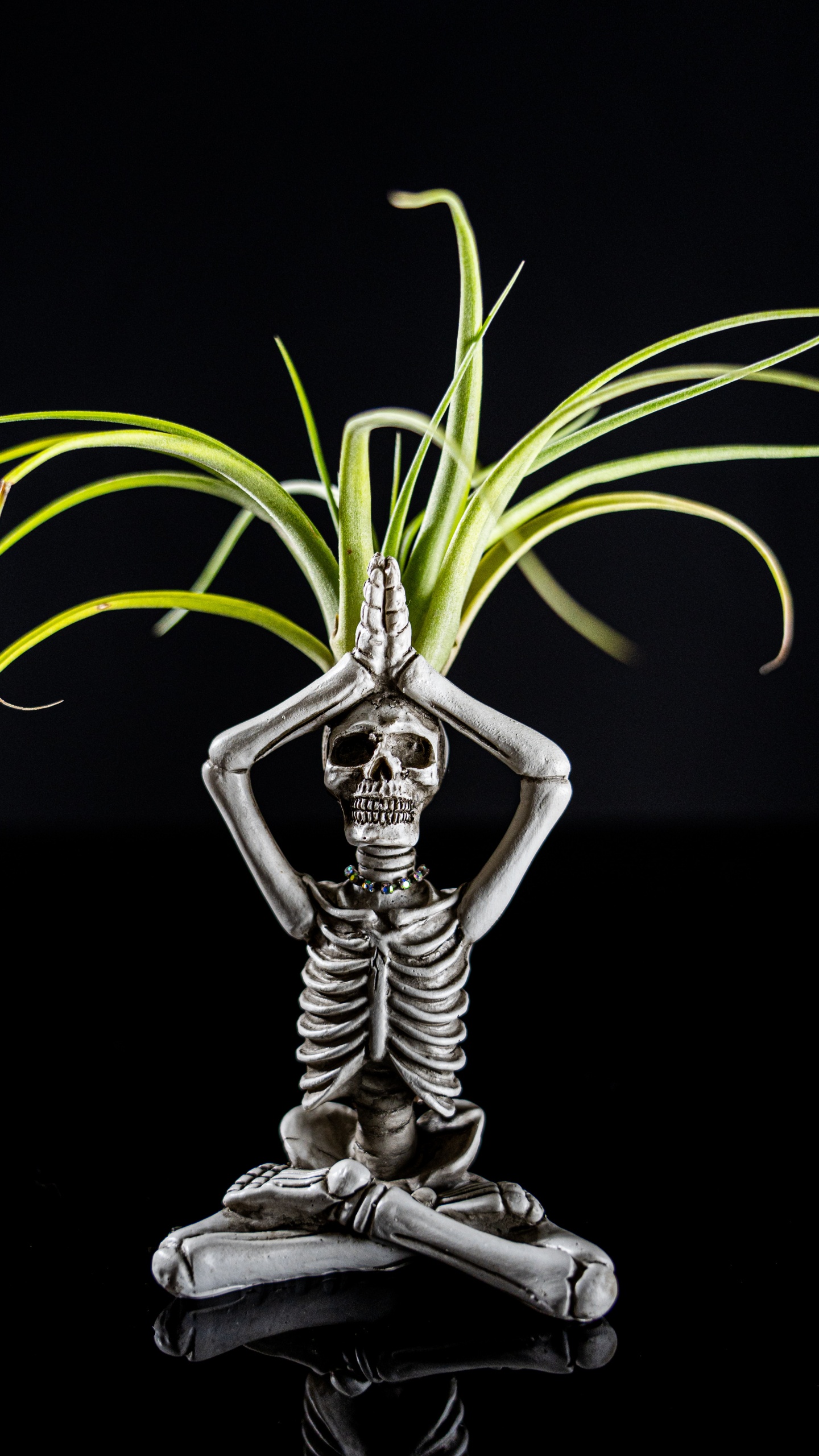 Skelett, Action-Figur, Terrestrische Pflanzen, Kapuze, Automotive Lighting. Wallpaper in 1440x2560 Resolution