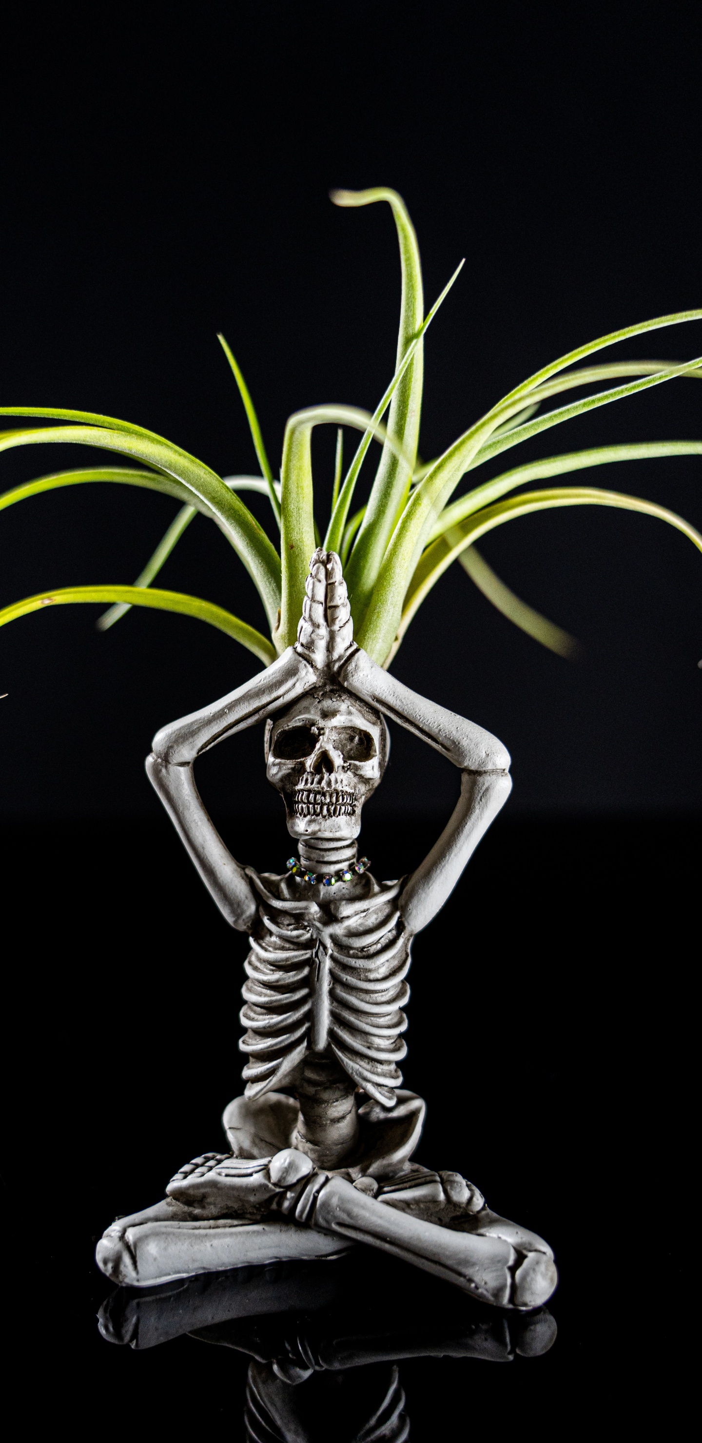 Skelett, Action-Figur, Terrestrische Pflanzen, Kapuze, Automotive Lighting. Wallpaper in 1440x2960 Resolution