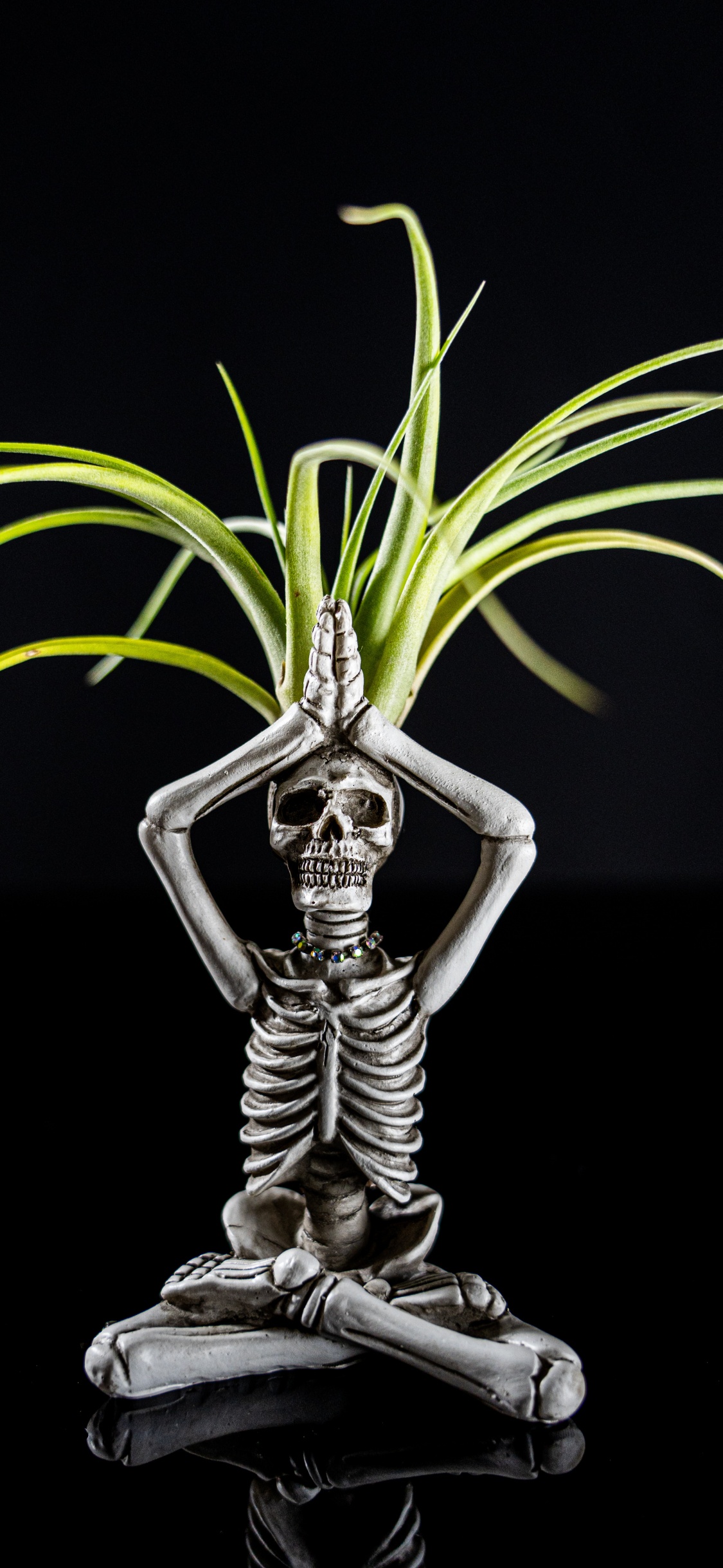 Squelette, Figurine, Plante Terrestre, Capuchon, L'éclairage Automobile. Wallpaper in 1125x2436 Resolution