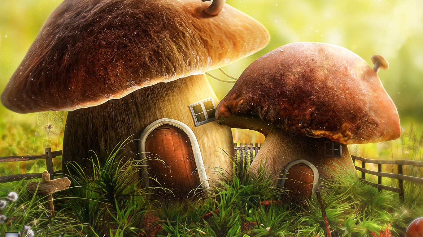 Mushroom, Plant, Plant Community, Natural Landscape, Terrestrial Plant. Wallpaper in 1366x768 Resolution