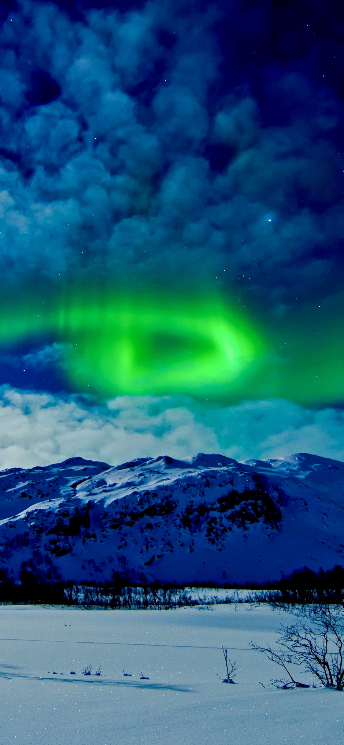 Aurora, Naturaleza, Invierno, Luz, Nieve. Wallpaper in 1125x2436 Resolution