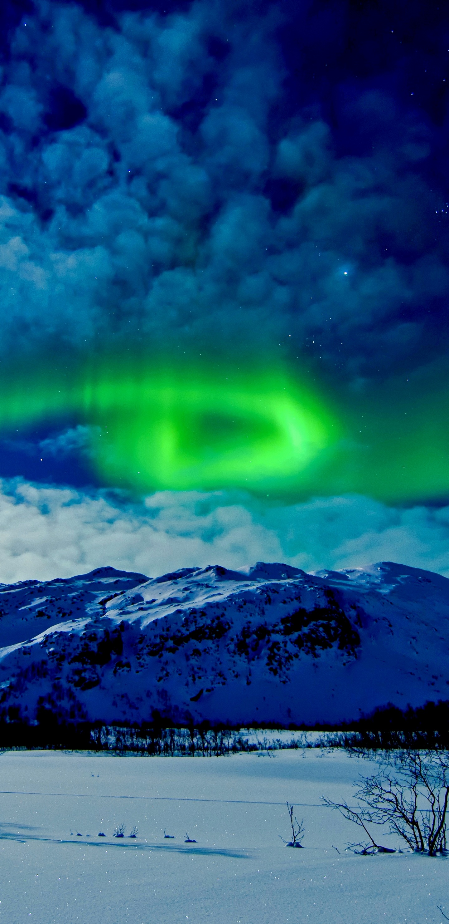 Aurora, Nature, Winter, Cloud, Light. Wallpaper in 1440x2960 Resolution