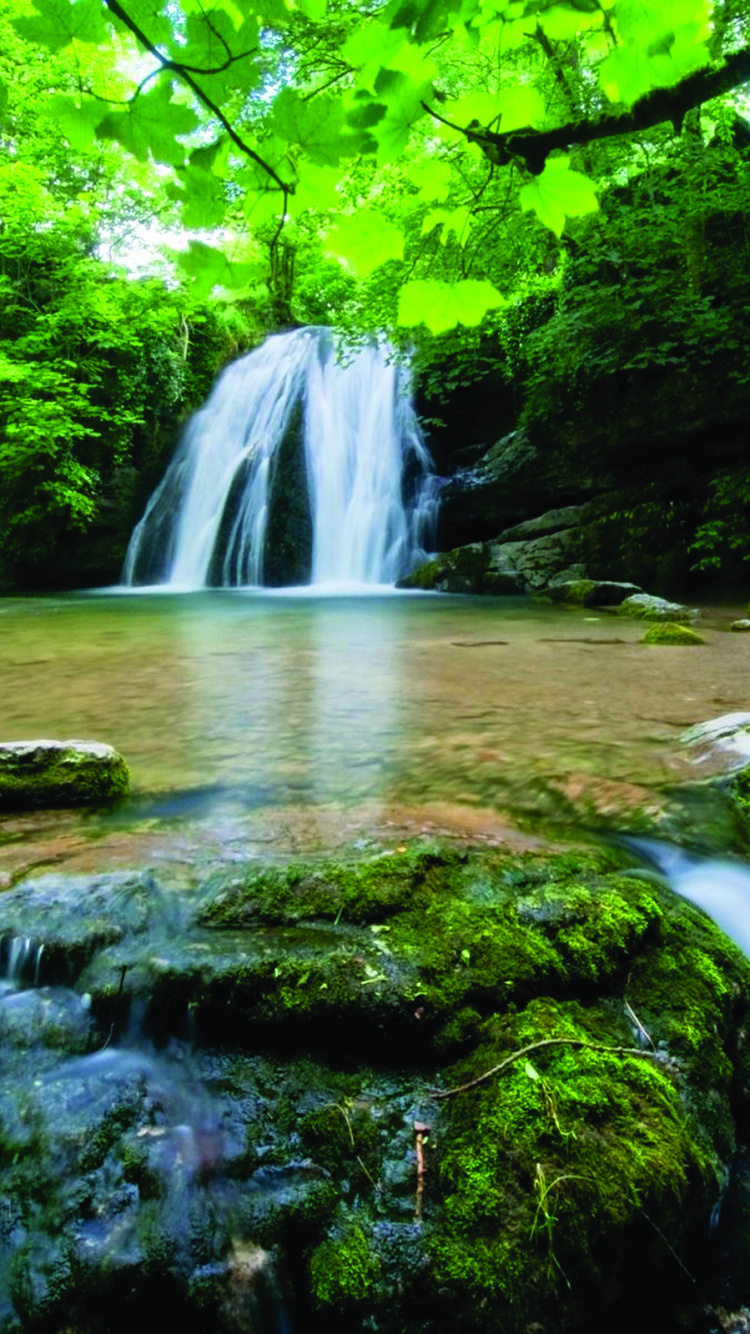 Green Moss on Rocks in Front of Waterfalls. Wallpaper in 750x1334 Resolution