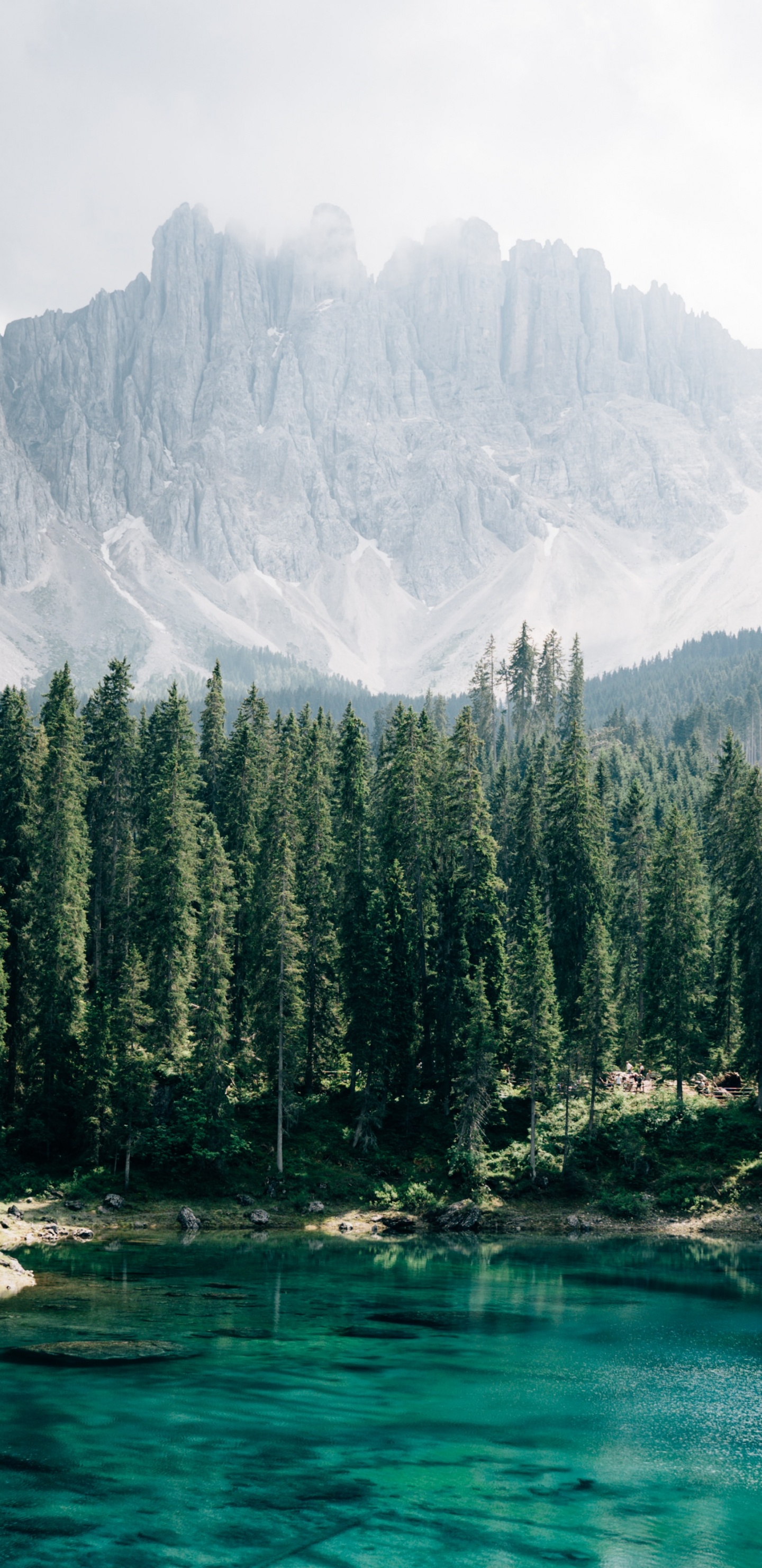 Karersee, Conifers, Mount Scenery, Glacial Lake, Nature. Wallpaper in 1440x2960 Resolution