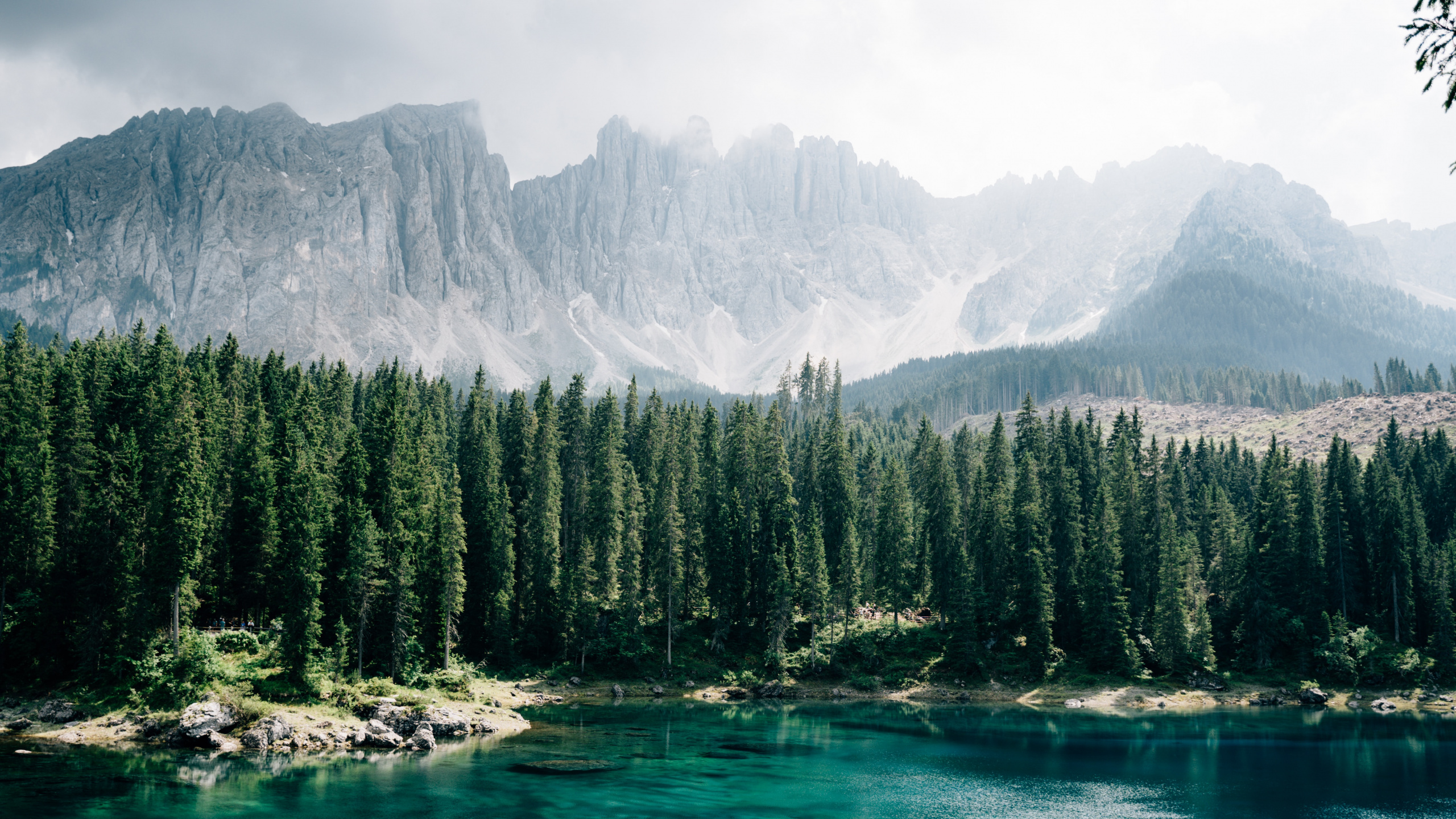 Karersee, Conifers, Mount Scenery, Glacial Lake, Nature. Wallpaper in 2560x1440 Resolution
