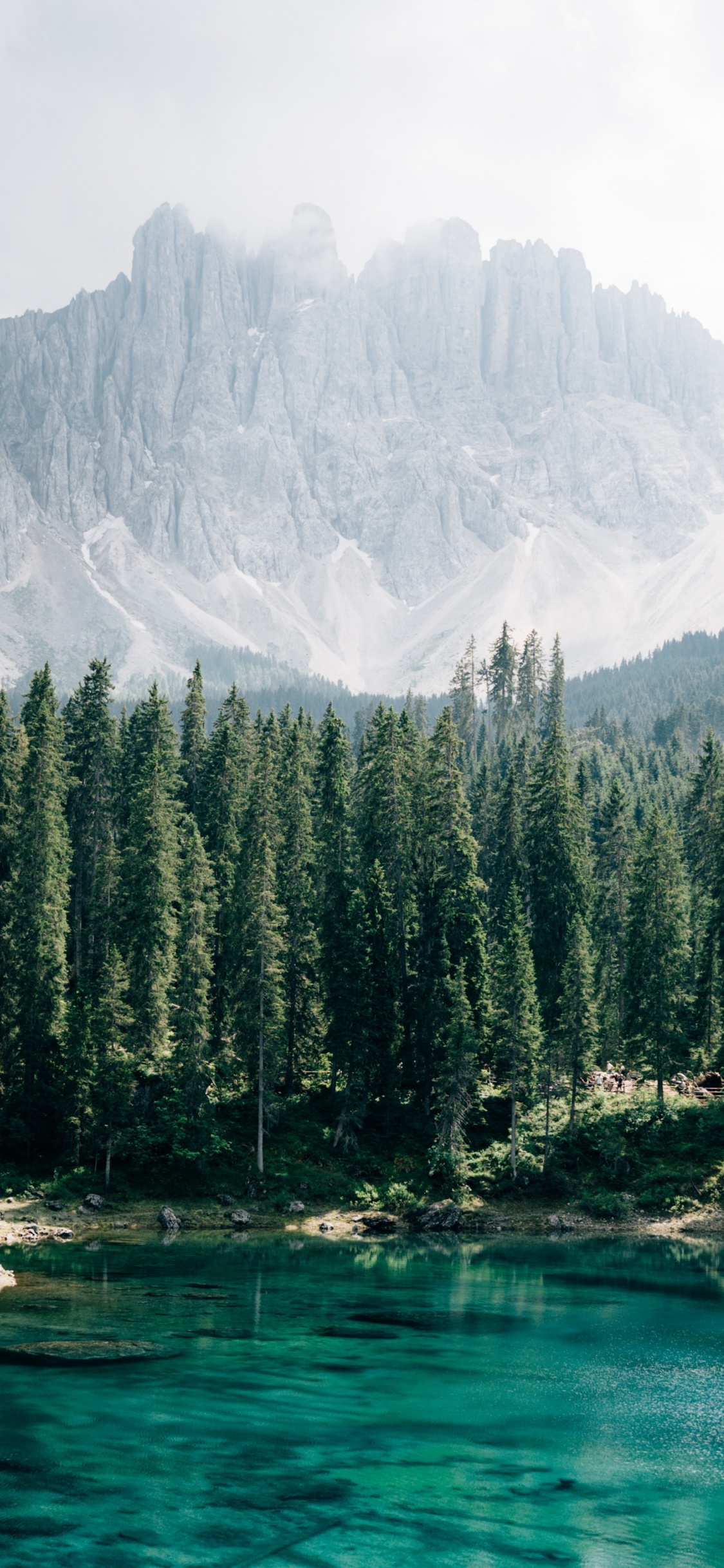Karersee, Nadelbaum, Mount Scenery, Gletschersee, Natur. Wallpaper in 1125x2436 Resolution