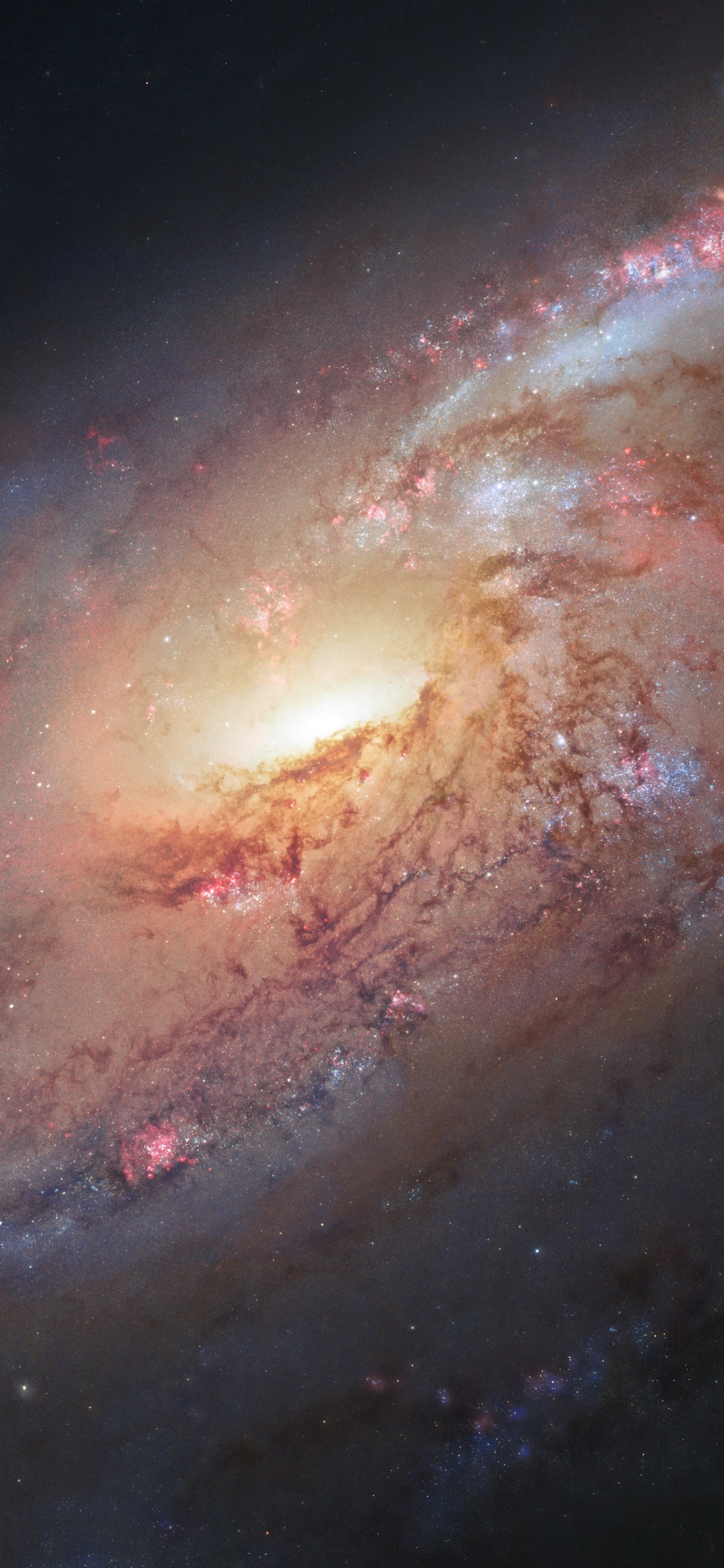 梅西耶 106, 哈勃太空望远镜, 螺旋星系, 外层空间, 气氛 壁纸 1125x2436 允许