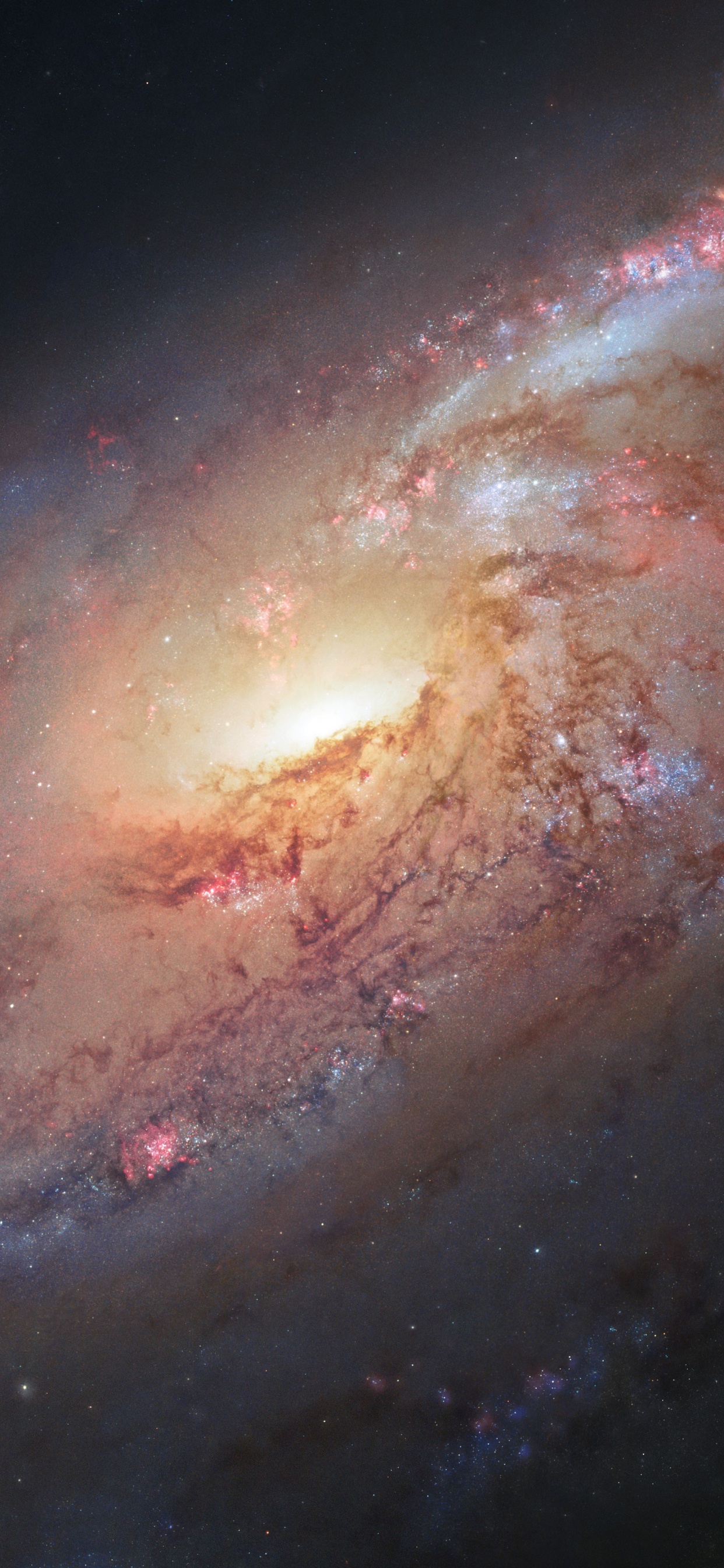 梅西耶 106, 哈勃太空望远镜, 螺旋星系, 外层空间, 气氛 壁纸 1242x2688 允许