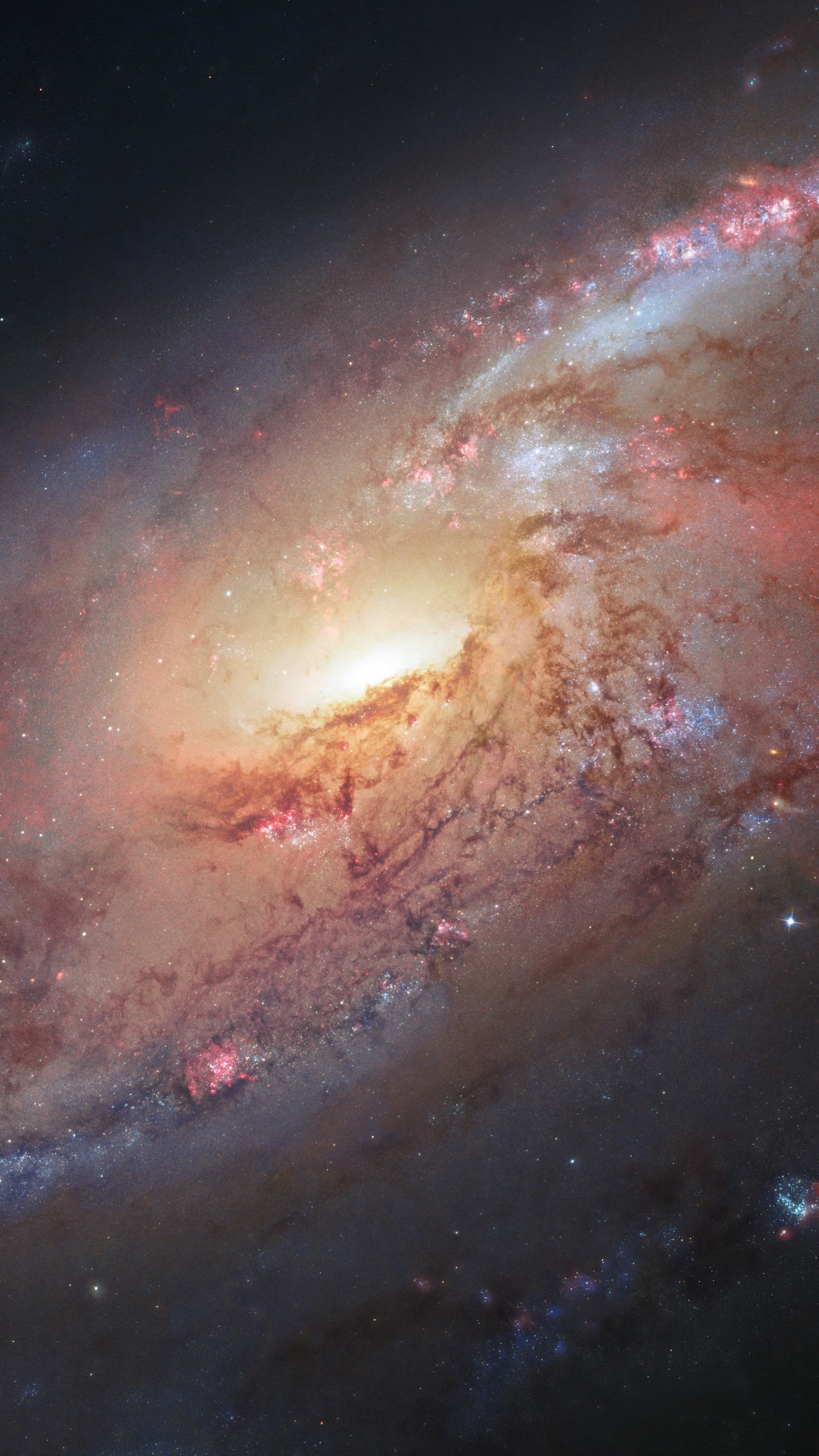 梅西耶 106, 哈勃太空望远镜, 螺旋星系, 外层空间, 气氛 壁纸 1440x2560 允许