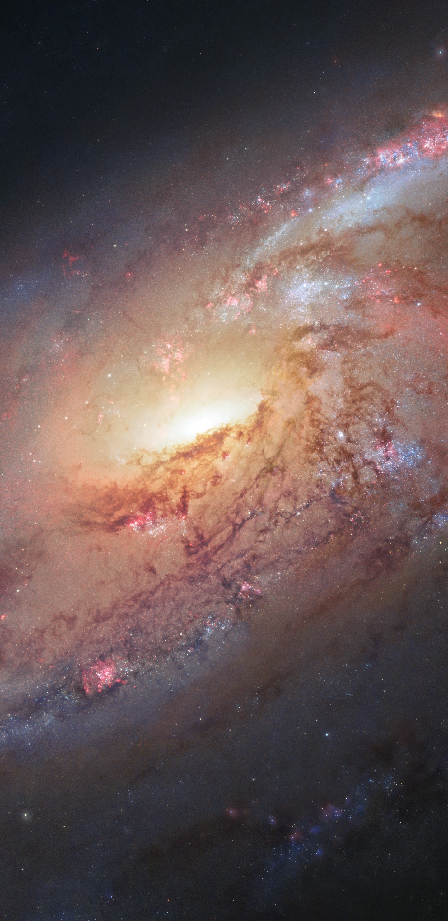 梅西耶 106, 哈勃太空望远镜, 螺旋星系, 外层空间, 气氛 壁纸 1440x2960 允许