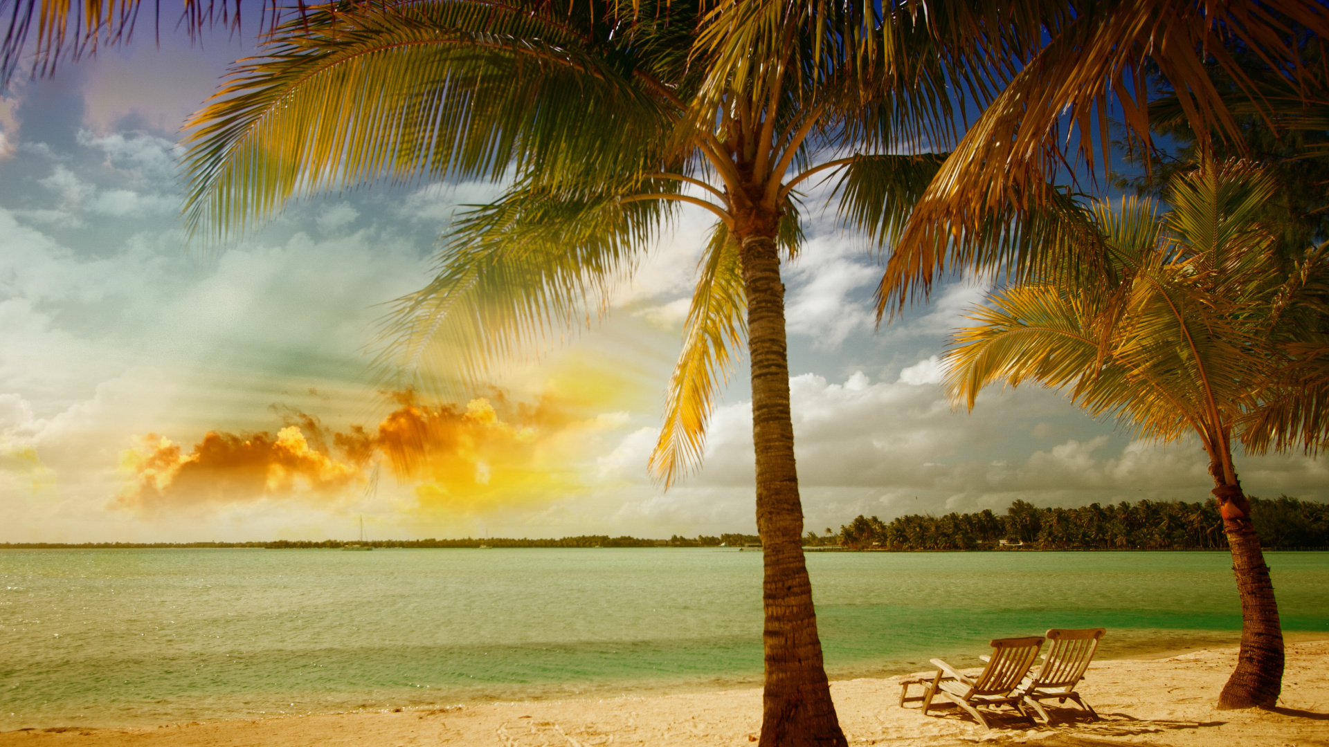 Palmier Sur la Plage au Coucher du Soleil. Wallpaper in 1920x1080 Resolution