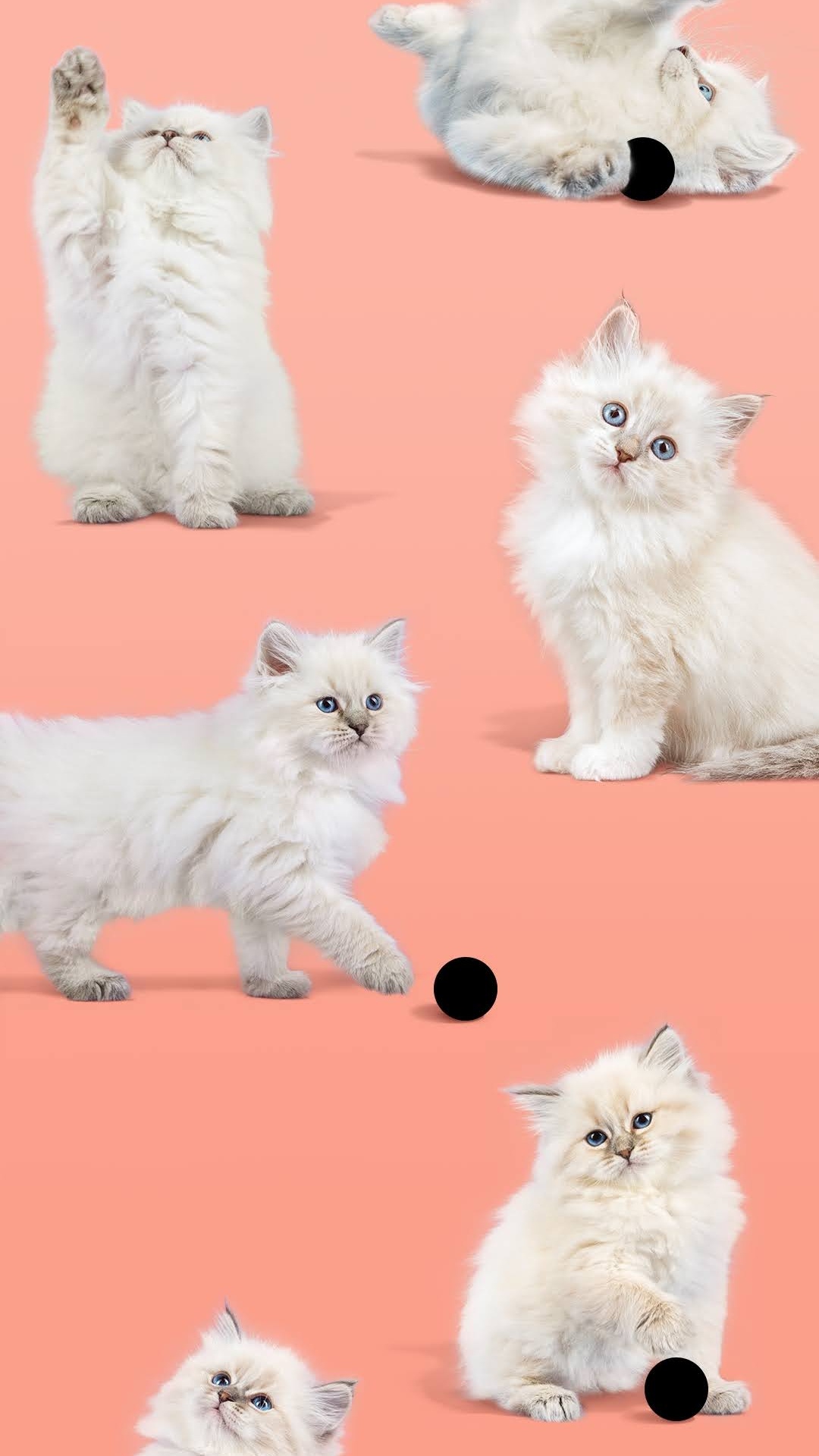 谷歌, Google Pixel 4a, 像素4a, 像素, 安卓 壁纸 1080x1920 允许