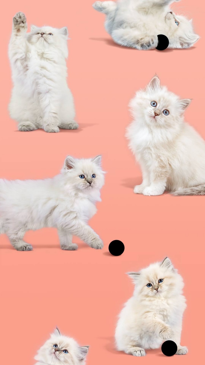 谷歌, Google Pixel 4a, 像素4a, 像素, 安卓 壁纸 720x1280 允许