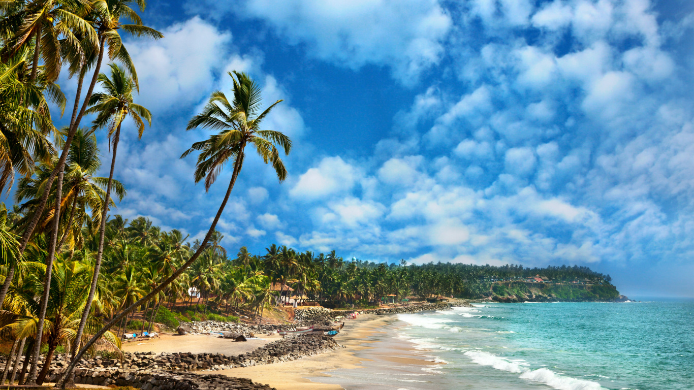 喀拉拉邦落后, 海岸, 人体内的水, 热带地区, 性质 壁纸 1366x768 允许