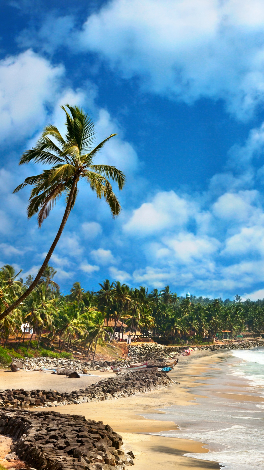 Green Palm Trees on Brown Sand Beach During Daytime. Wallpaper in 1080x1920 Resolution