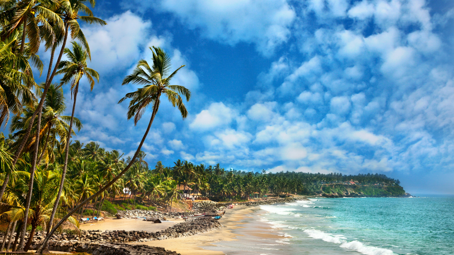 Green Palm Trees on Brown Sand Beach During Daytime. Wallpaper in 1920x1080 Resolution