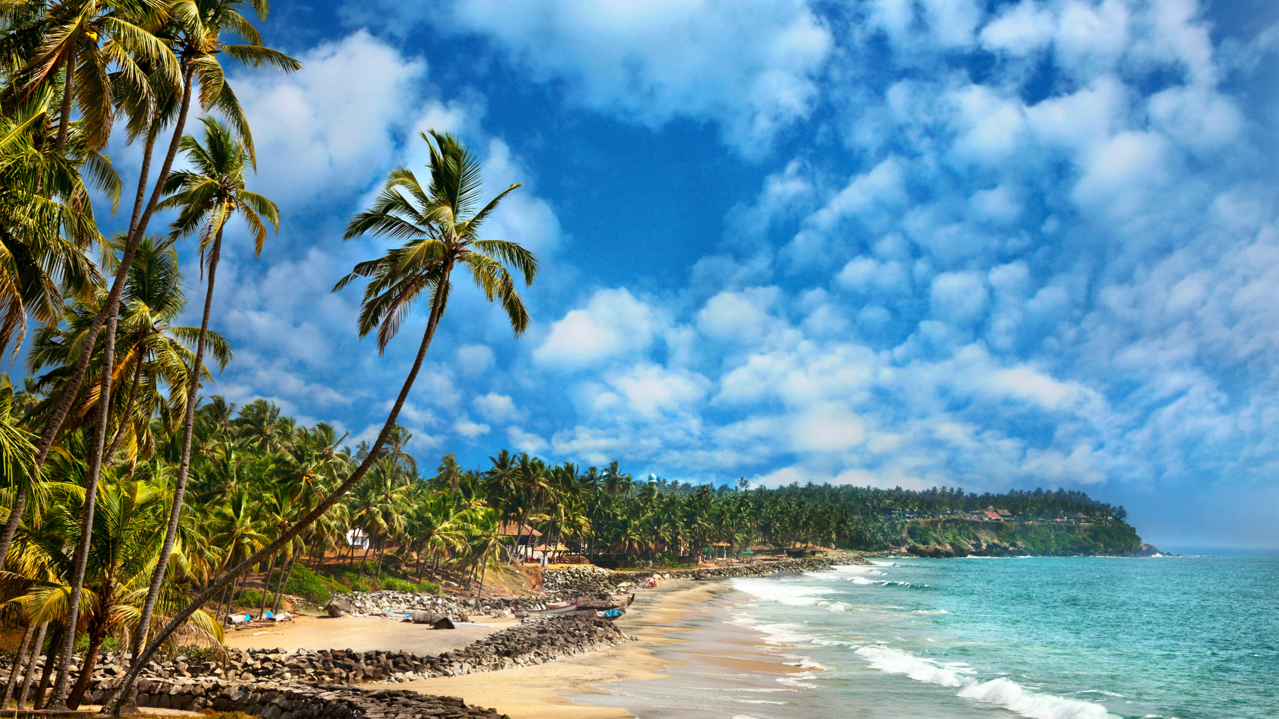 Green Palm Trees on Brown Sand Beach During Daytime. Wallpaper in 2560x1440 Resolution