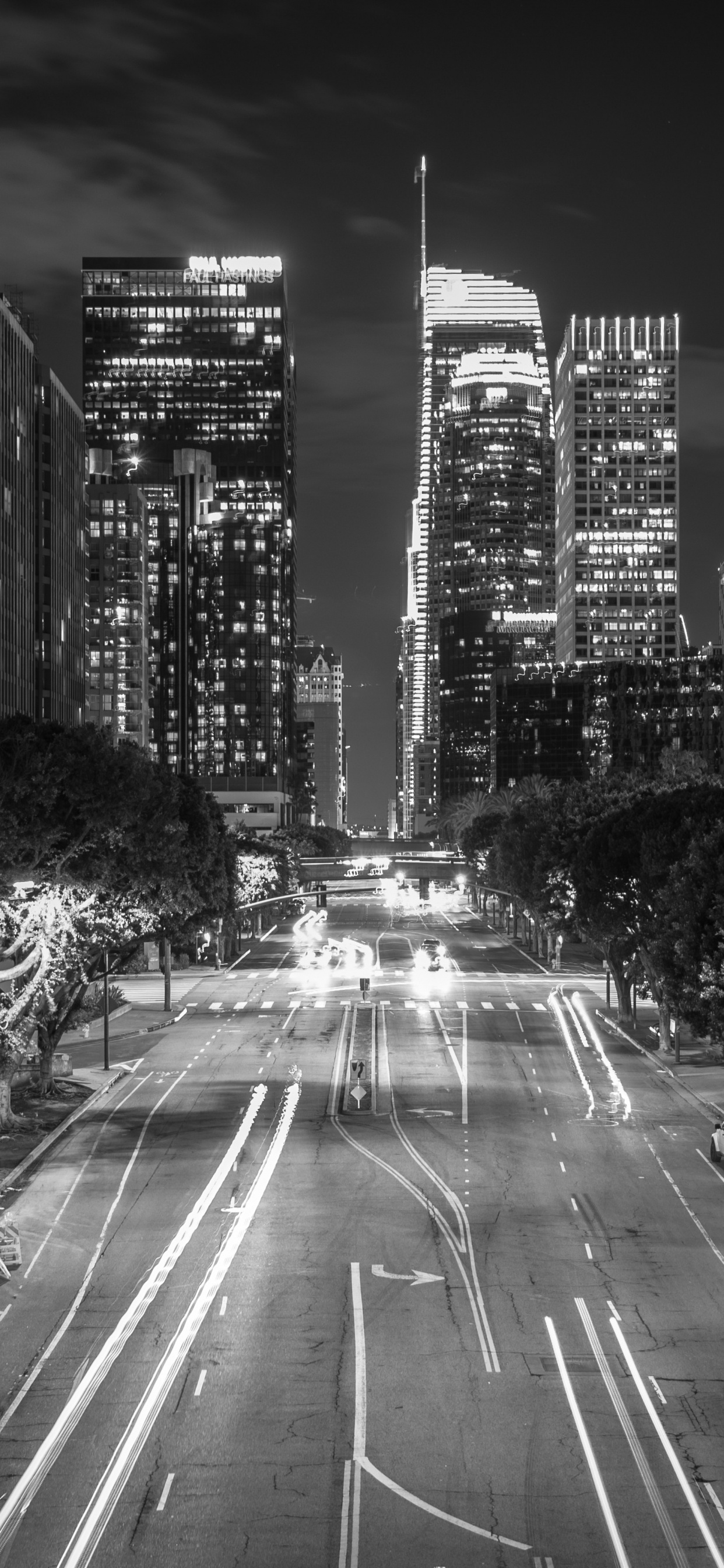 黑色和白色的, 城市, 白色, 城市景观, 大都会 壁纸 1242x2688 允许