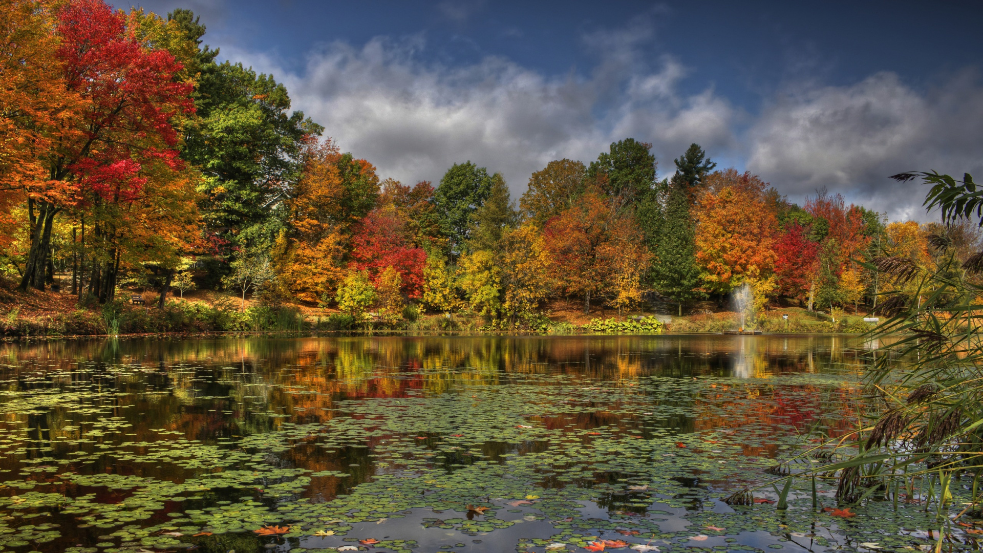Green and Red Trees Beside River Under Blue Sky During Daytime. Wallpaper in 1920x1080 Resolution