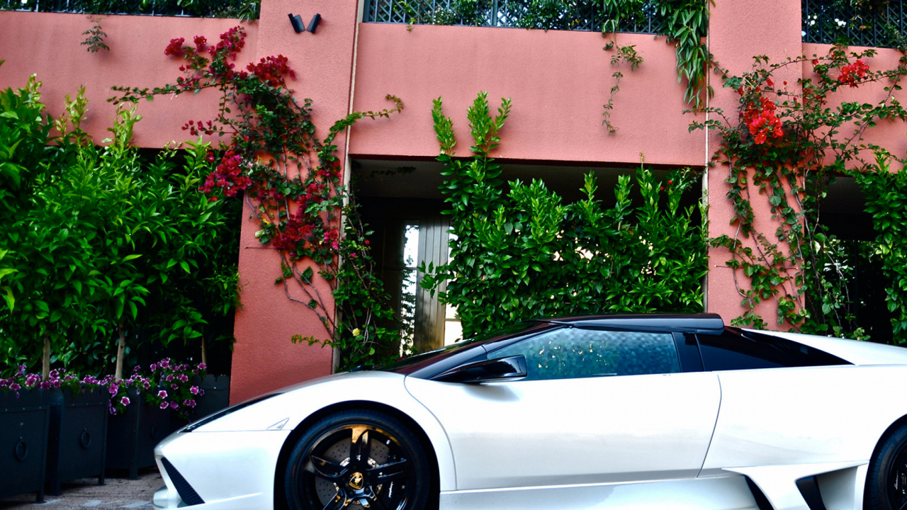 White Porsche 911 Parked Near Brown Concrete Building During Daytime. Wallpaper in 1280x720 Resolution
