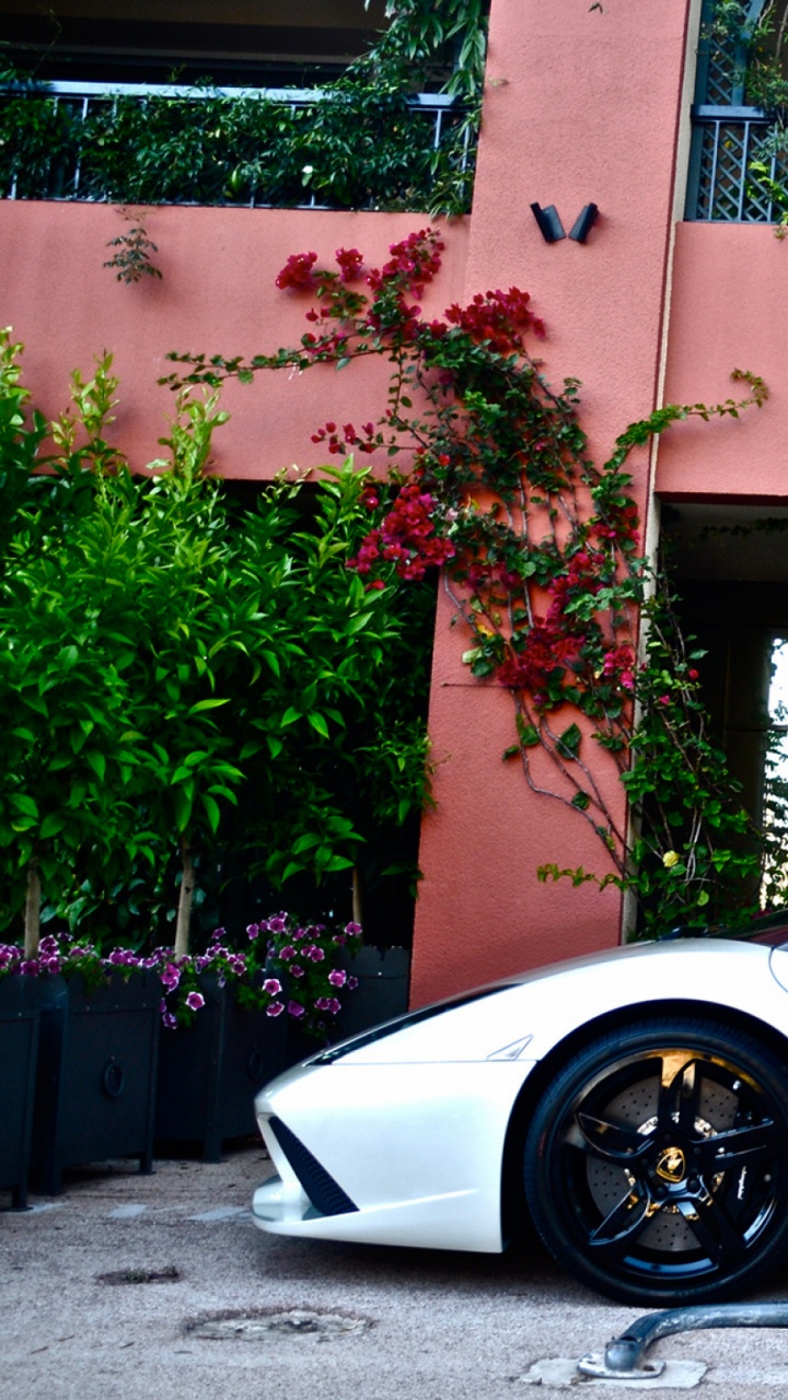 Porsche 911 Blanche Garée Près D'un Bâtiment en Béton Brun Pendant la Journée. Wallpaper in 720x1280 Resolution