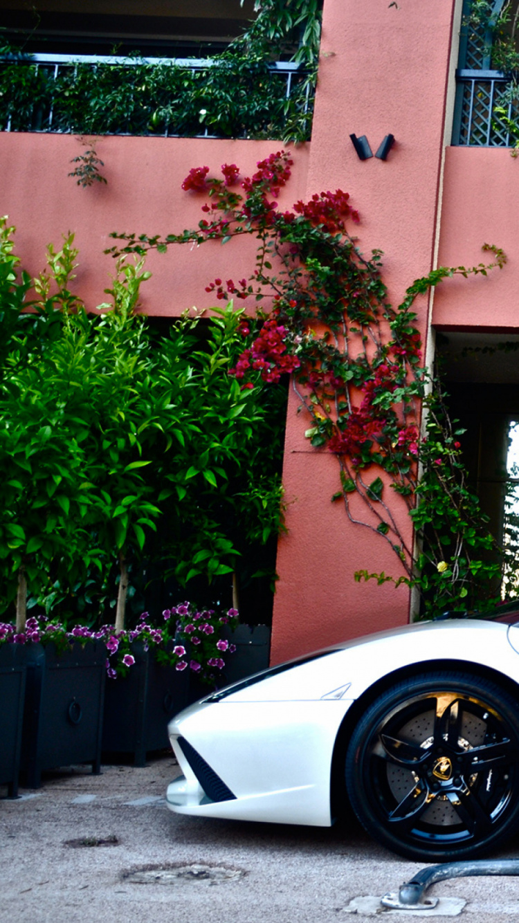 Porsche 911 Blanche Garée Près D'un Bâtiment en Béton Brun Pendant la Journée. Wallpaper in 750x1334 Resolution